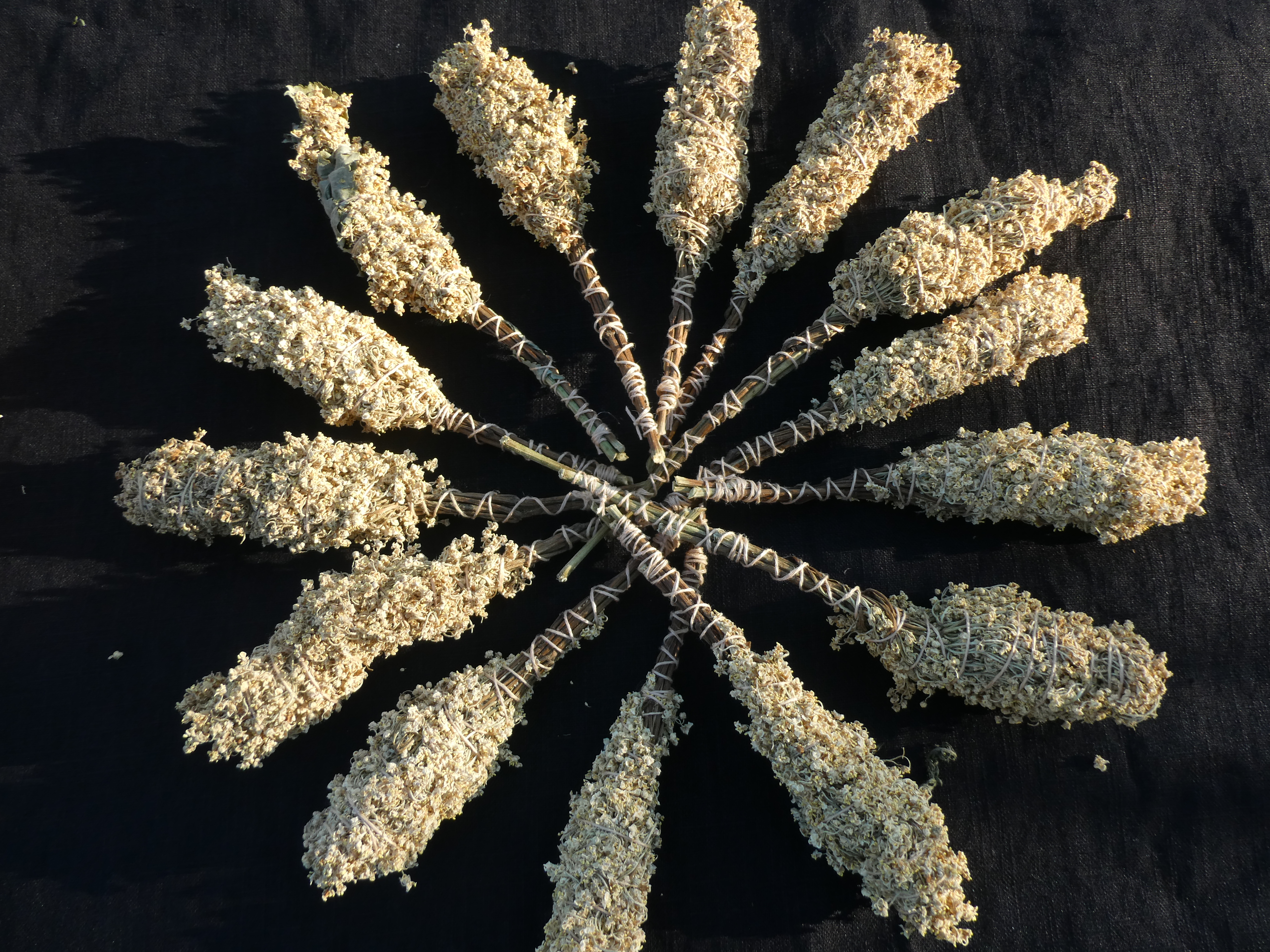 WILD ELDERBERRY Bundle/ Smudge Wand / Wizards Tree