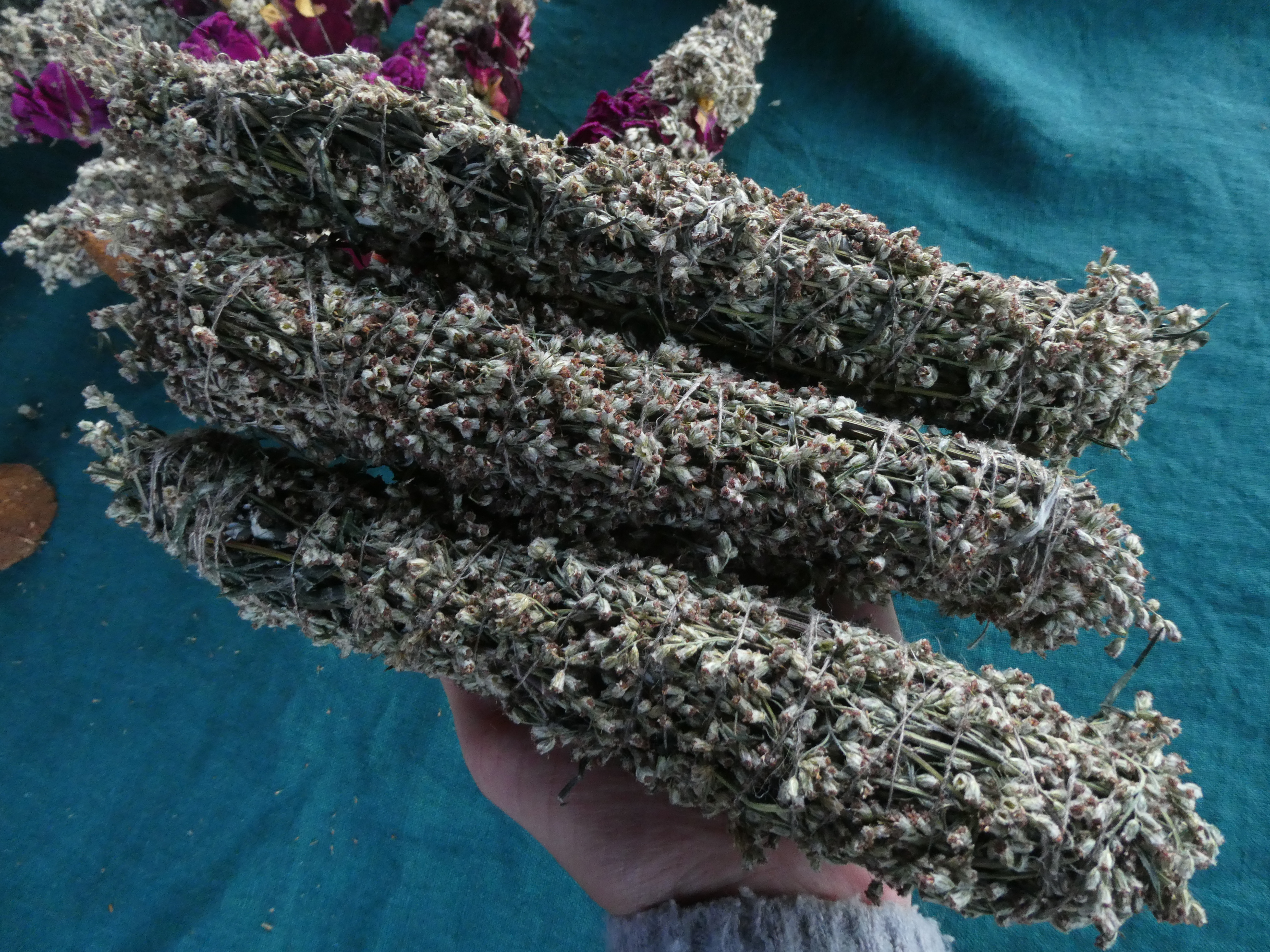 Witch Herb COMMON MUGWORT Artemisia vulgaris XL Smudge Wand