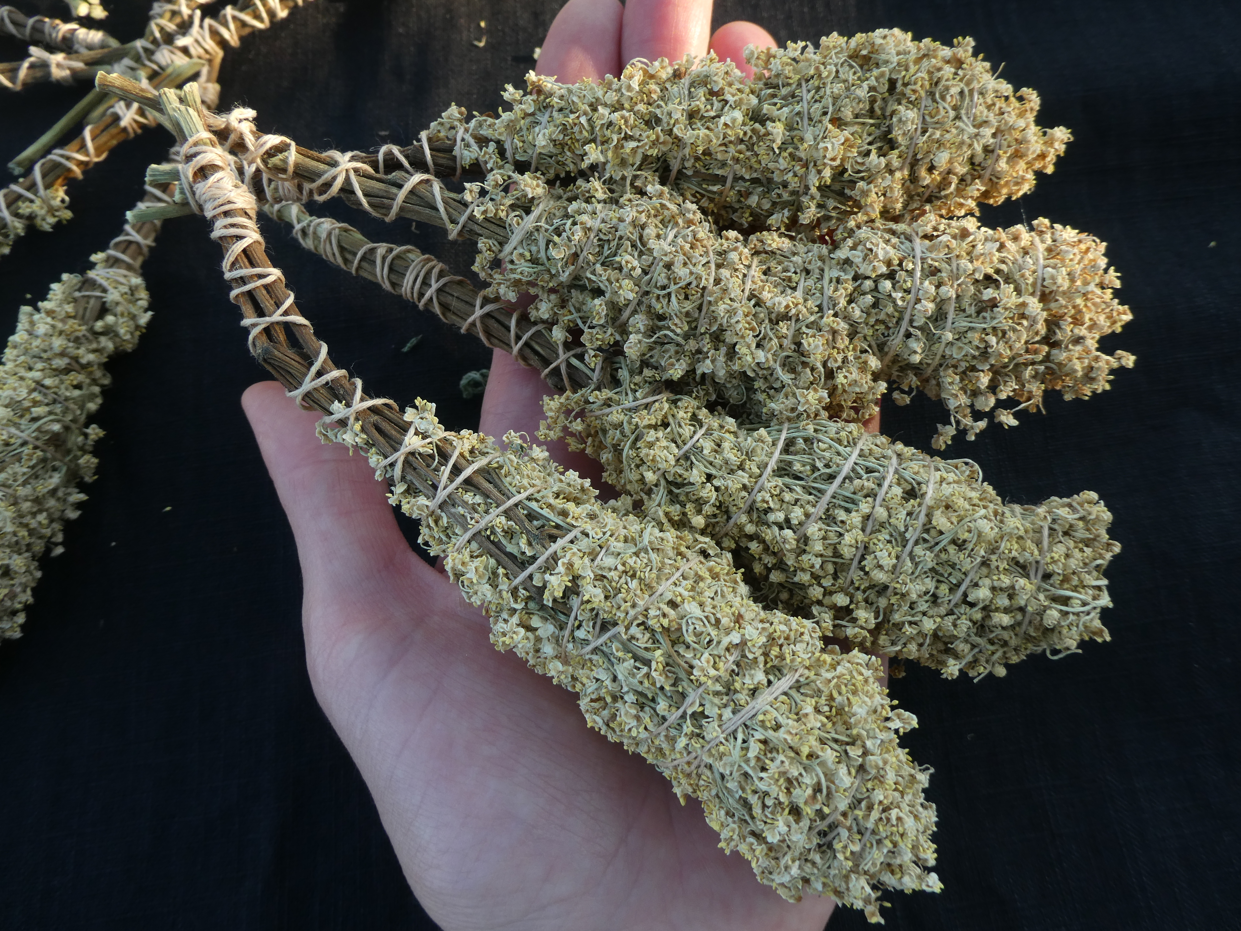 WILD ELDERBERRY Bundle/ Smudge Wand / Wizards Tree