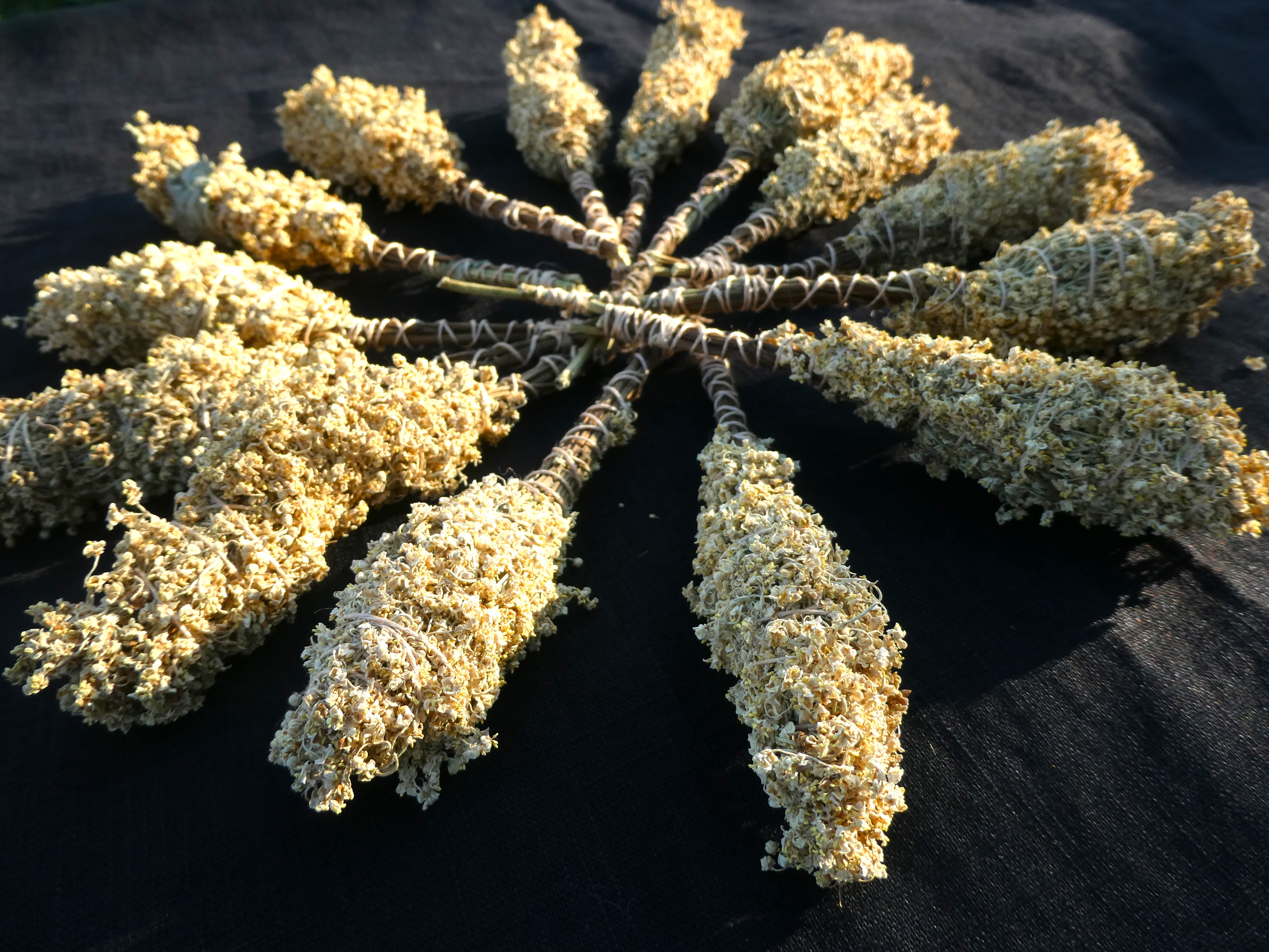 WILD ELDERBERRY Bundle/ Smudge Wand / Wizards Tree