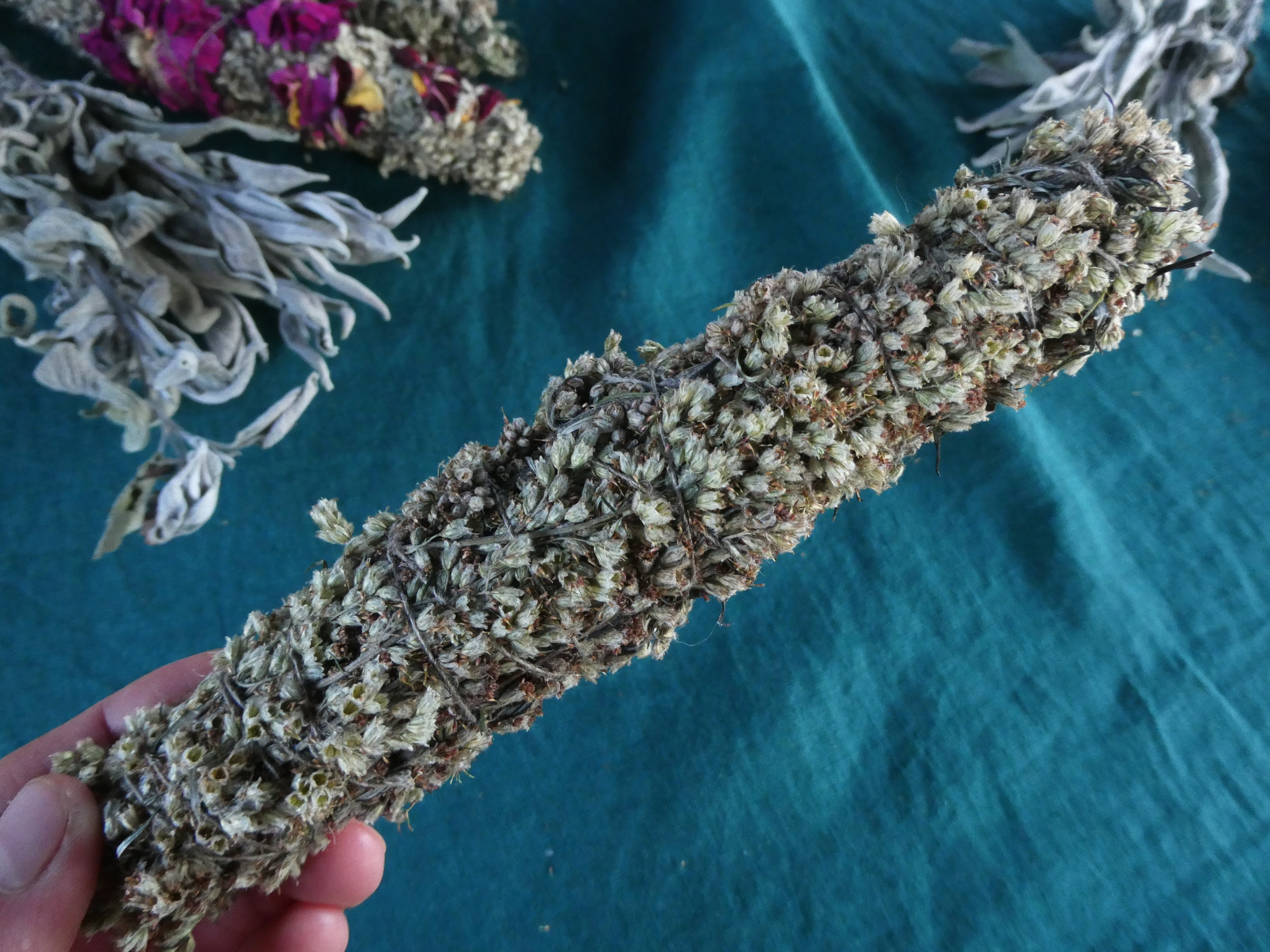 Witch Herb COMMON MUGWORT Artemisia vulgaris Medium Size Smudge Wand