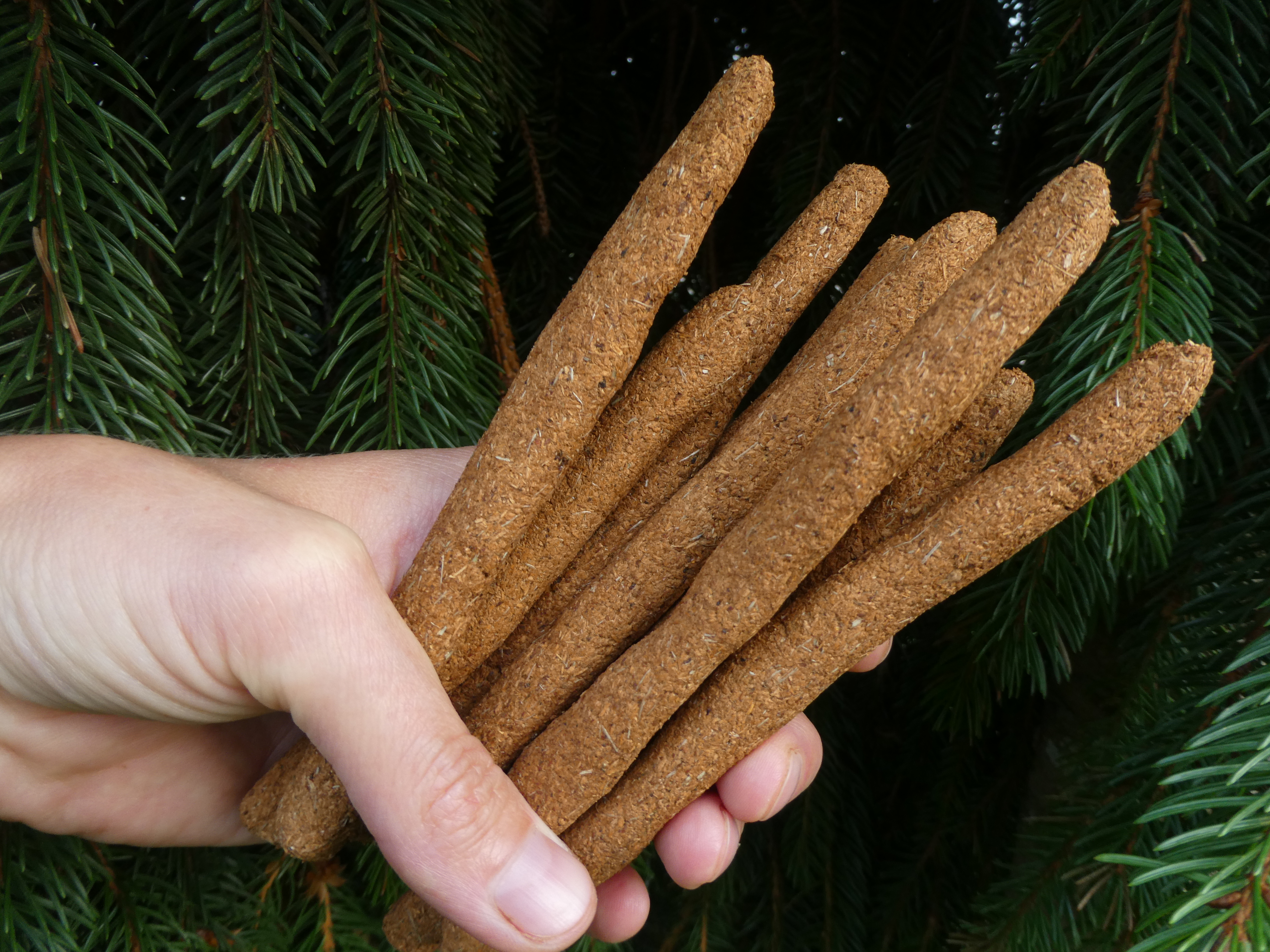 HOLLY FOREST🌲🌬🧬🔥 Palo Santo Incense Sticks