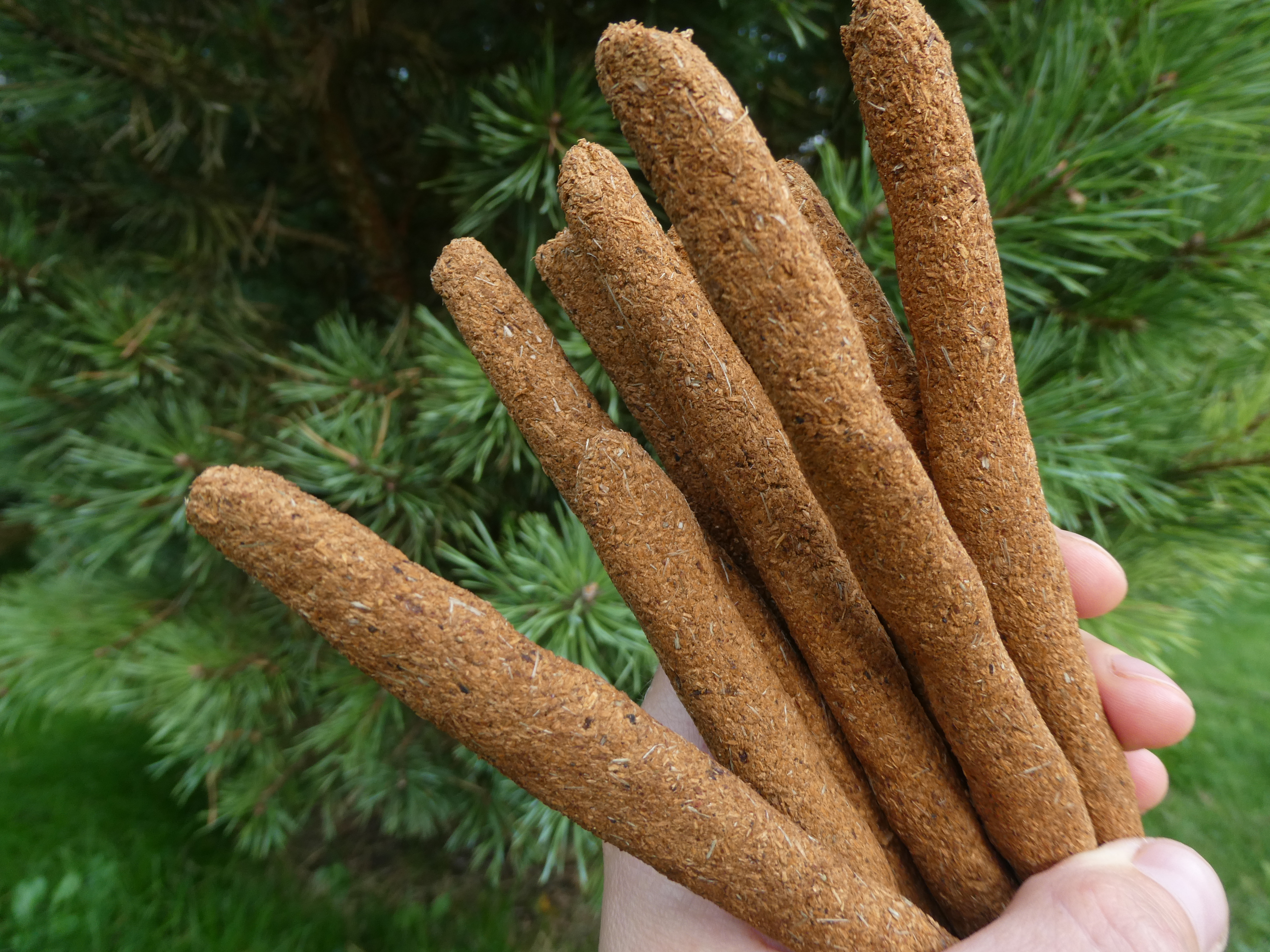 HOLLY FOREST🌲🌬🧬🔥 Palo Santo Incense Sticks