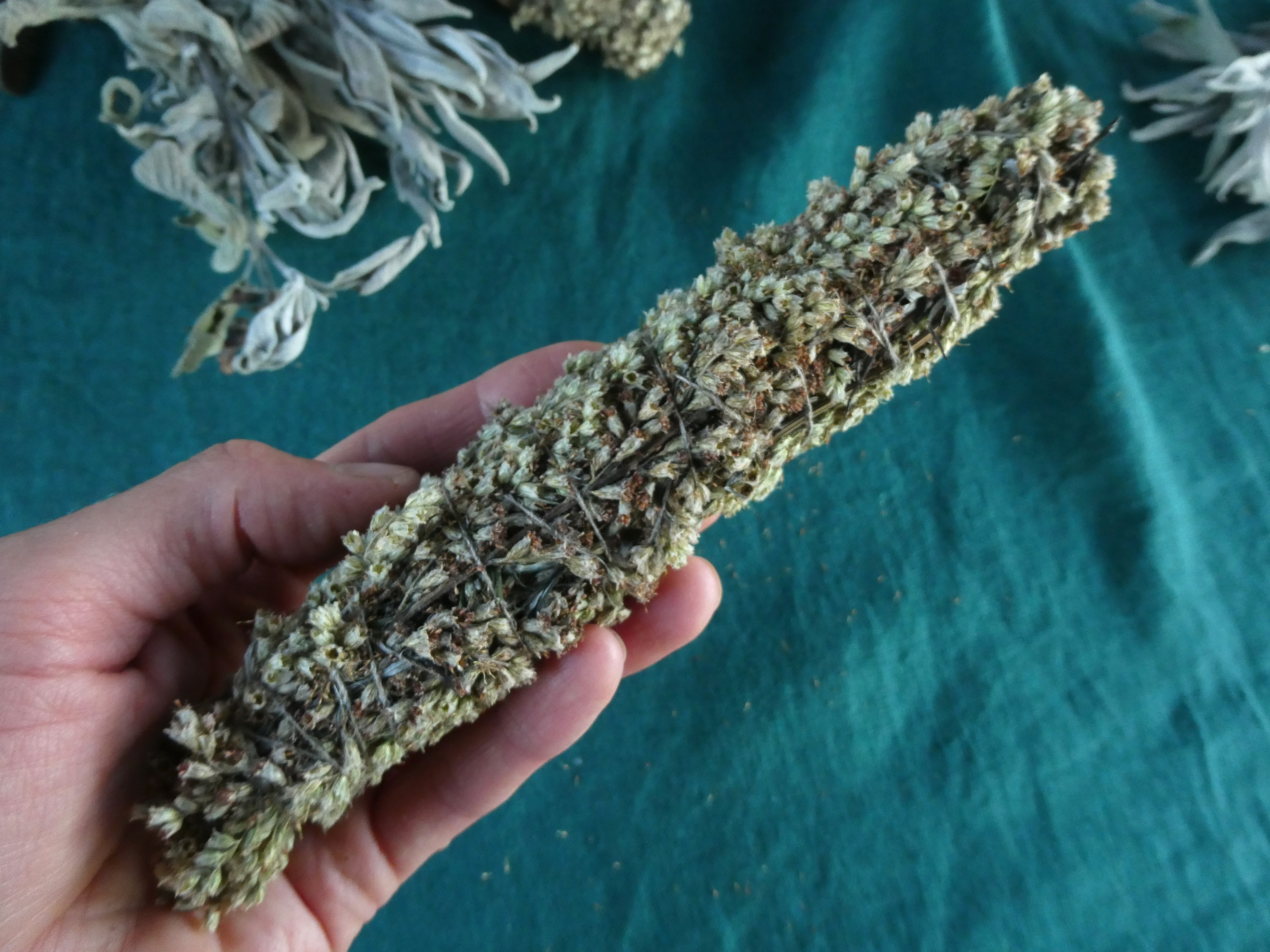 Witch Herb COMMON MUGWORT Artemisia vulgaris Medium Size Smudge Wand