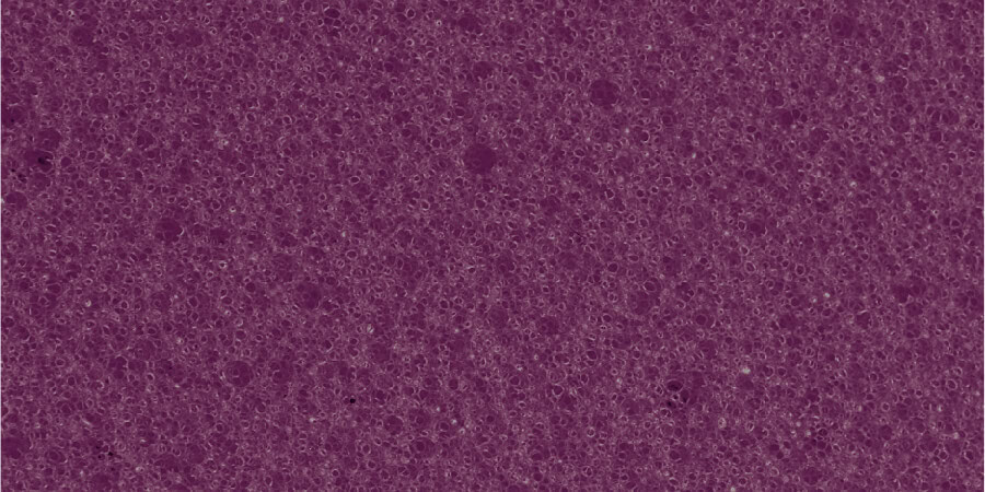 Čiužinys  TOP  FEEL