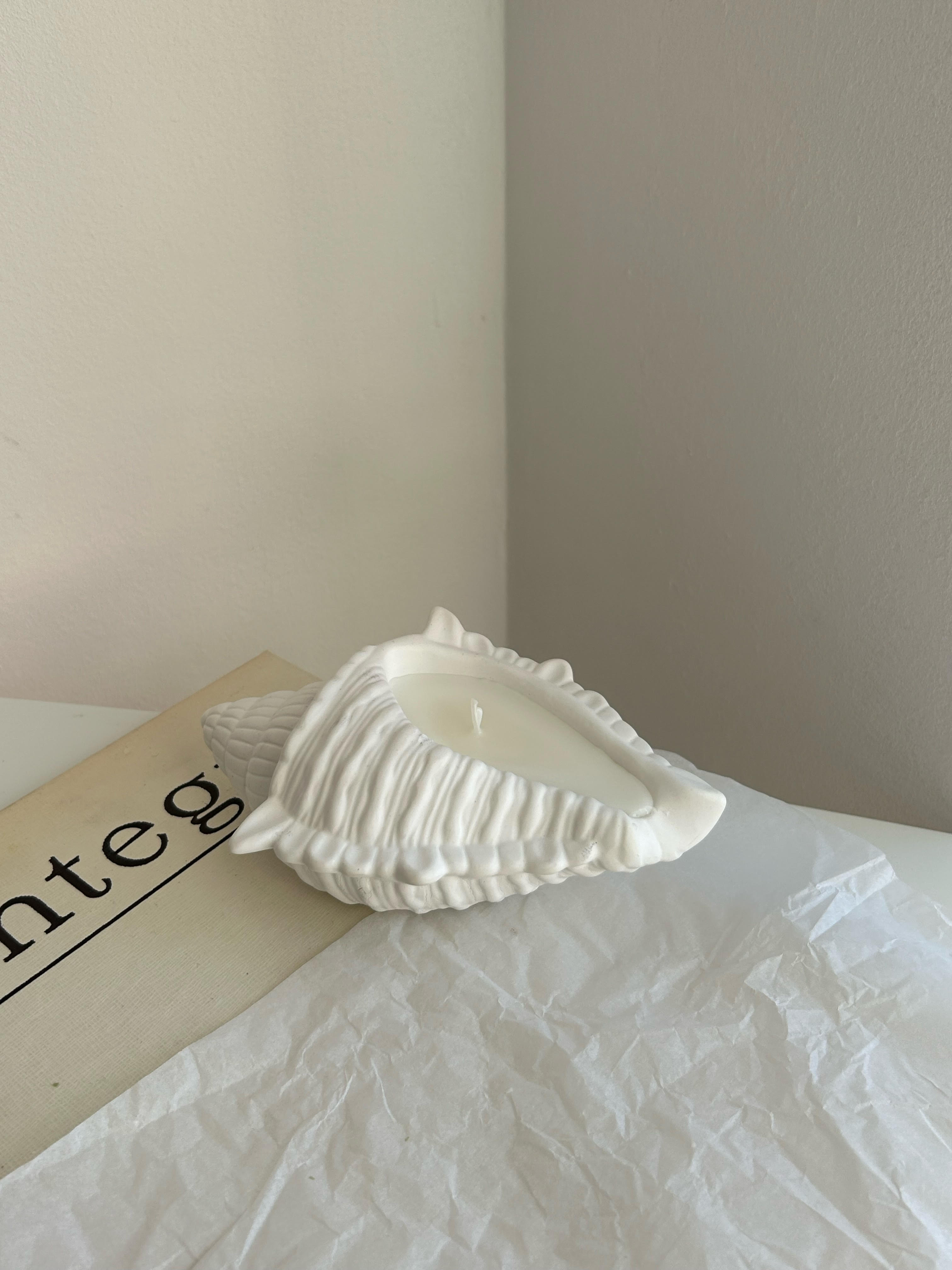 Plaster Seashell candle