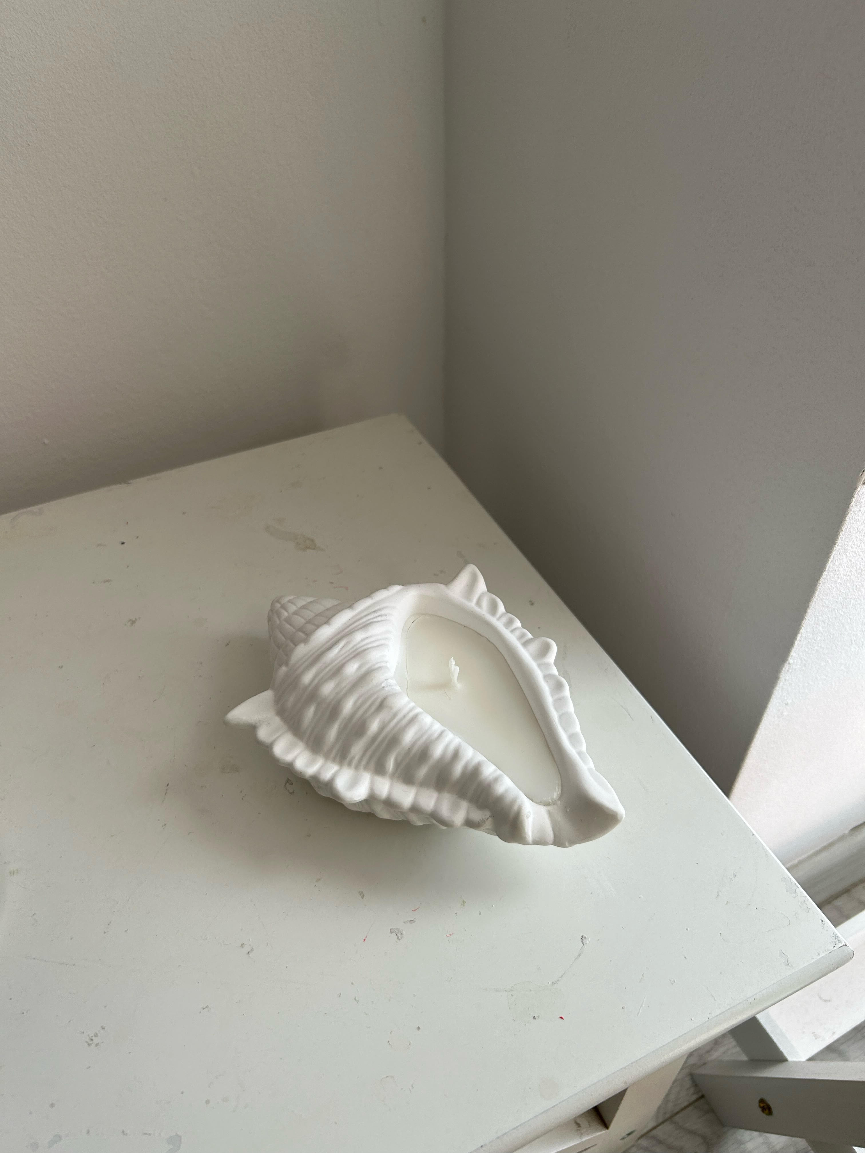 Plaster Seashell candle