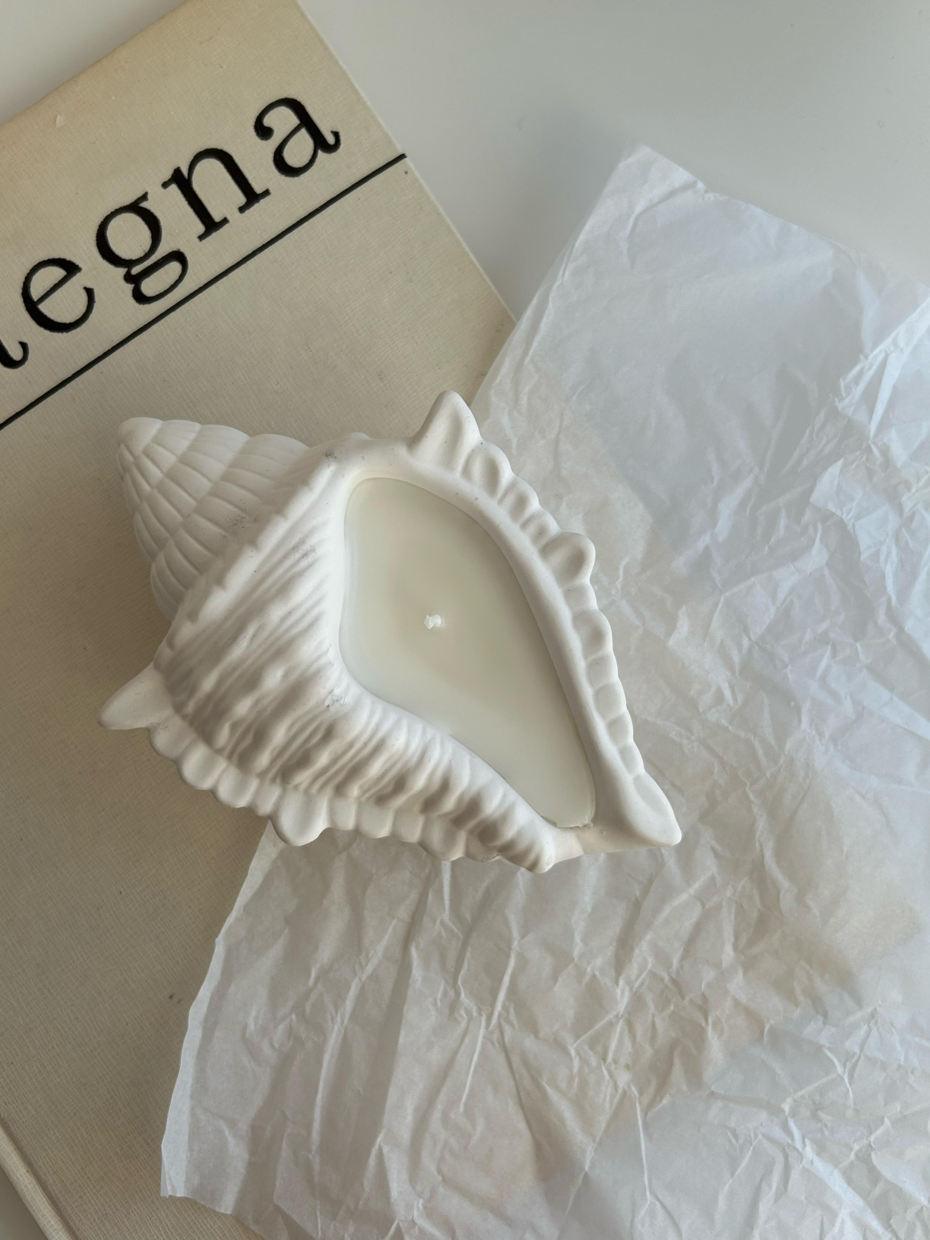 Plaster Seashell candle
