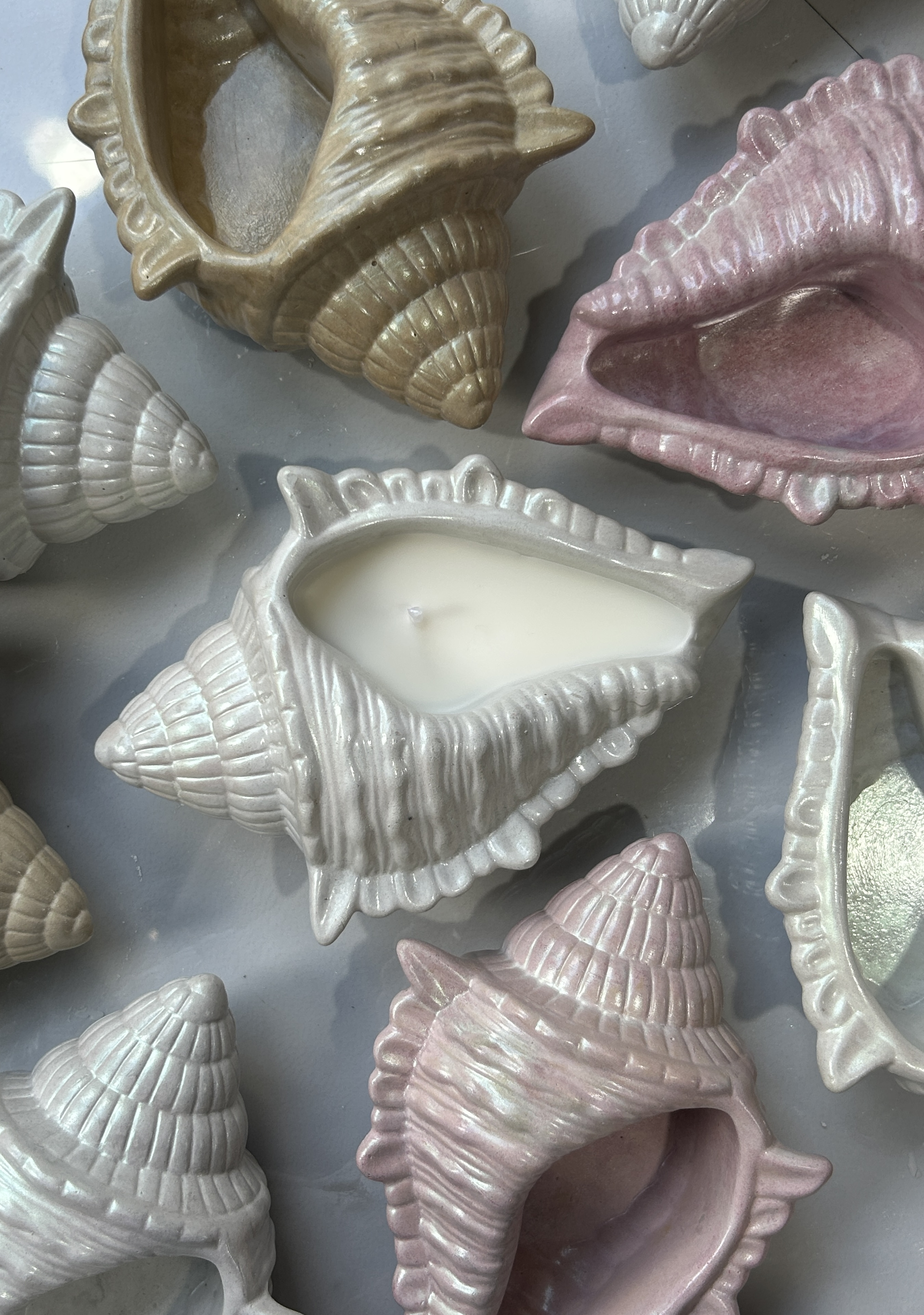 Plaster Seashell candle