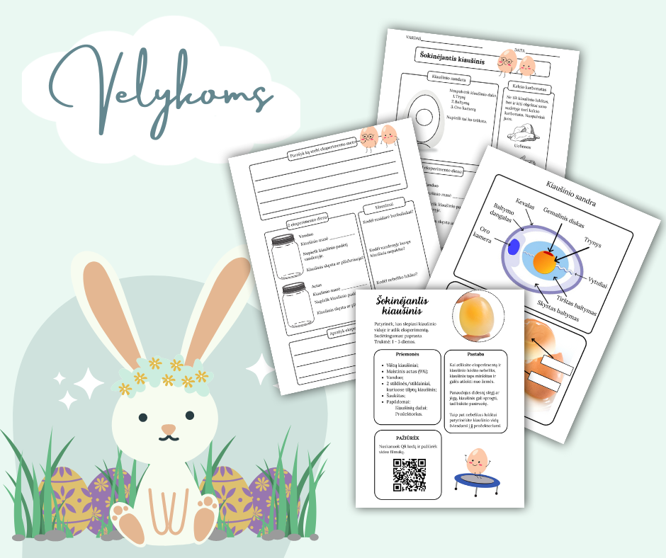 Šokinėjantis kiaušinis