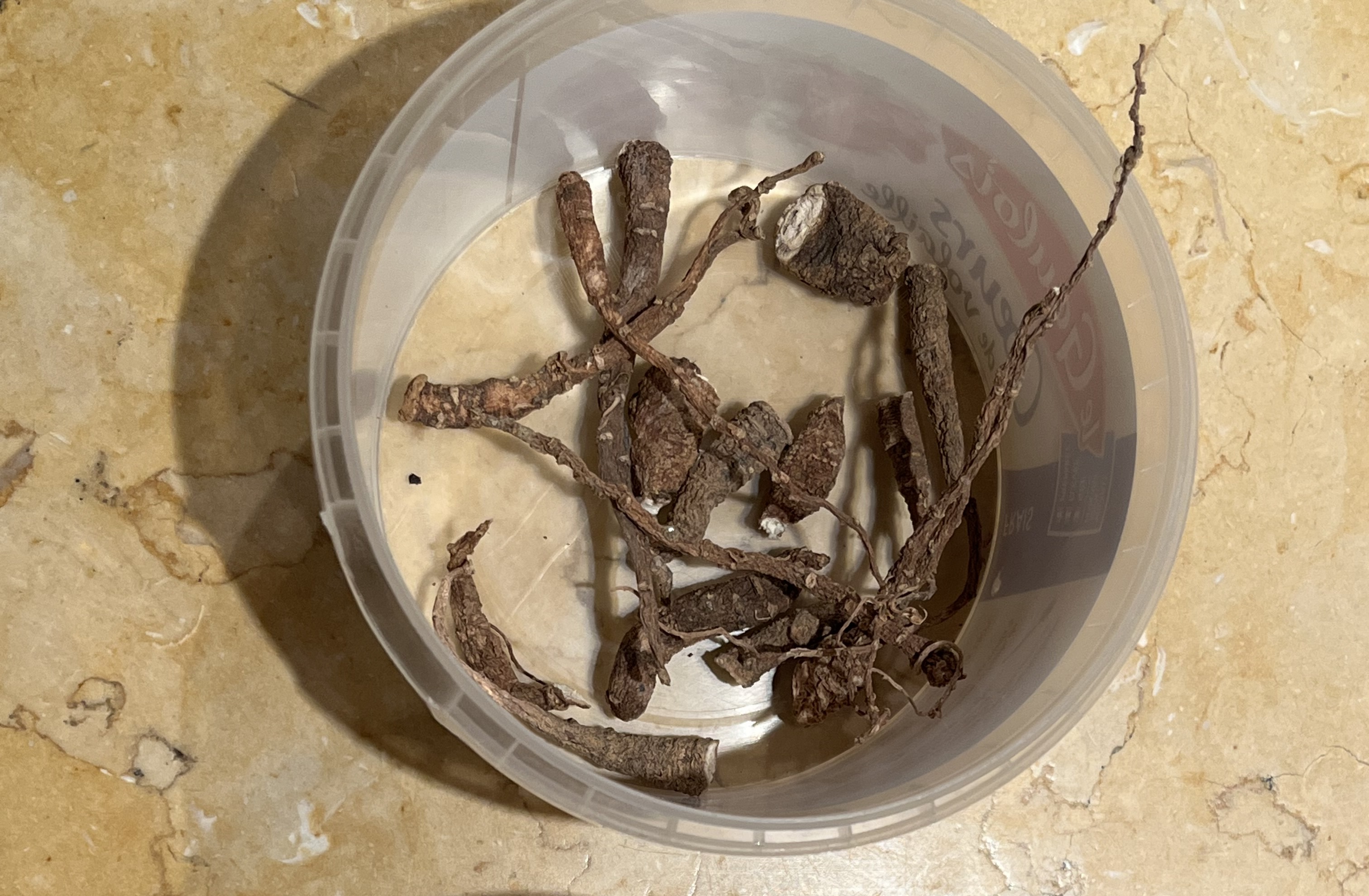 Mandragore officinale  - Racines séchées