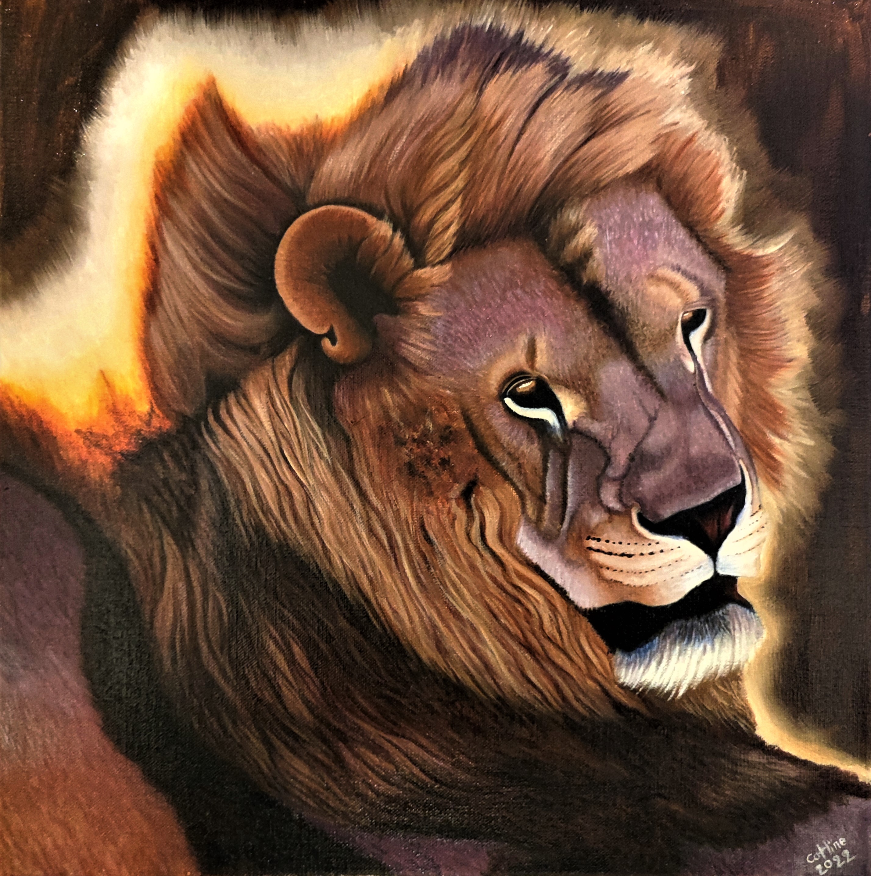 lion d'Afrique du Sud 40*40cm pièce unique