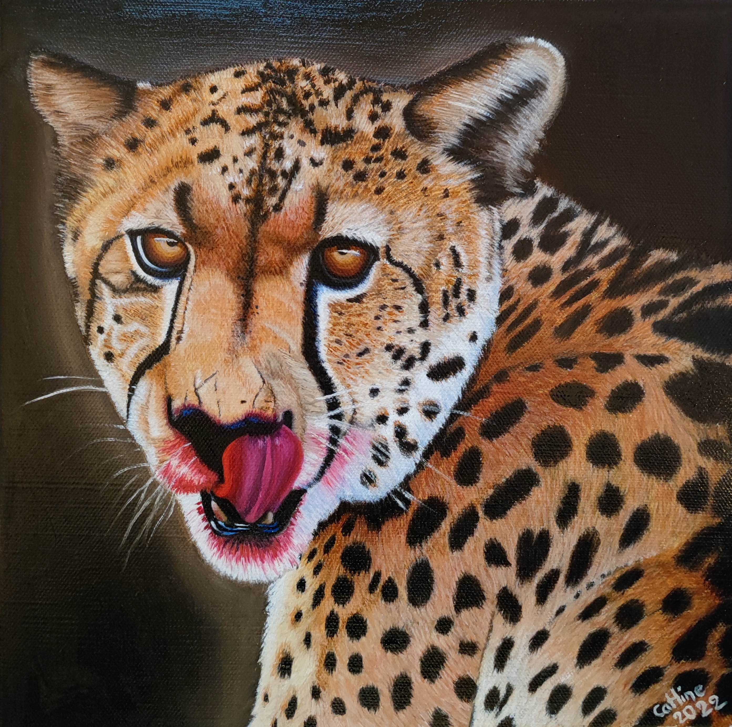 Guépard d'Afrique du Sud 30*30cm pièce unique