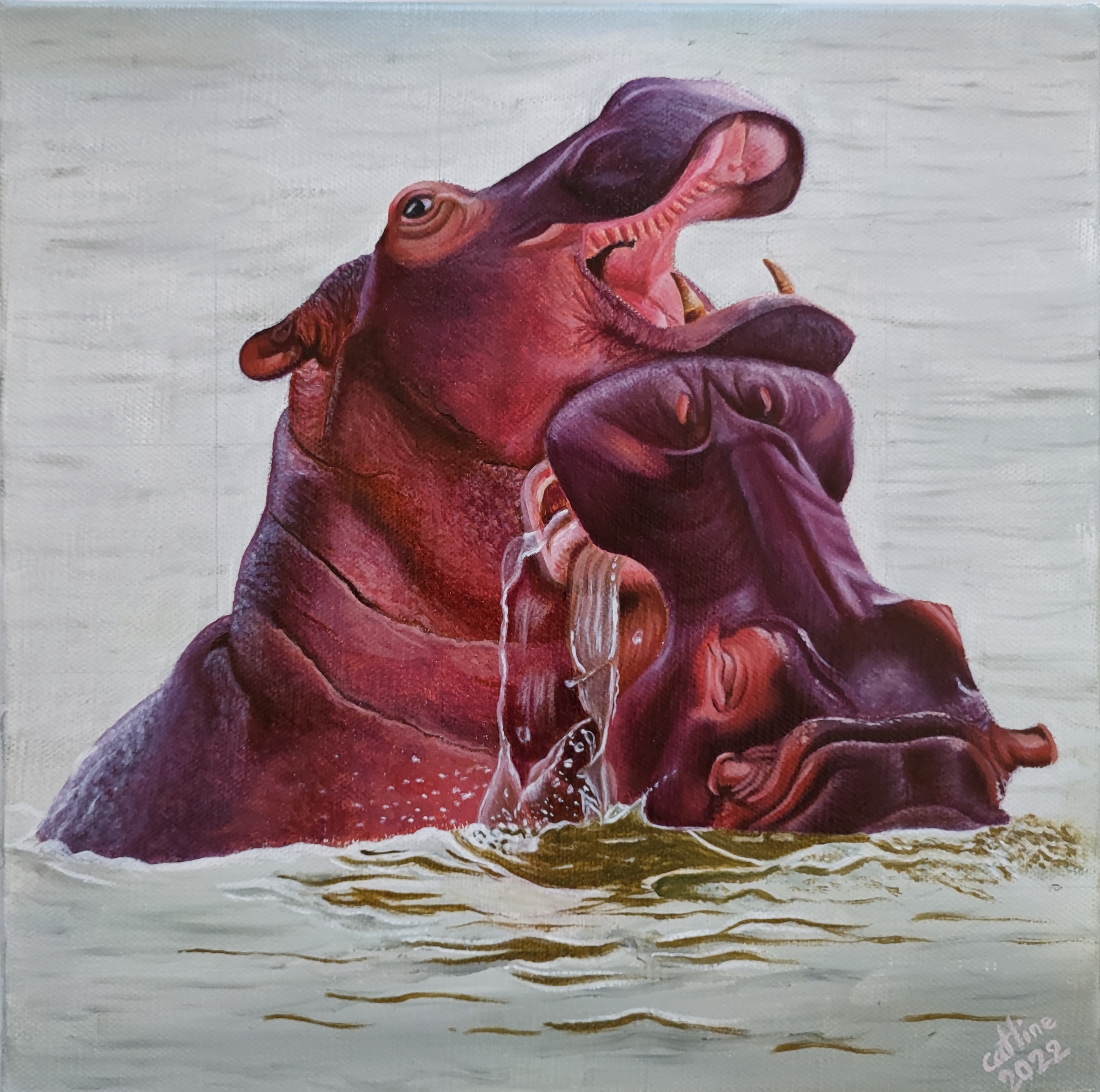 hippopotame de Ste Lucia 30*30cm pièce unique