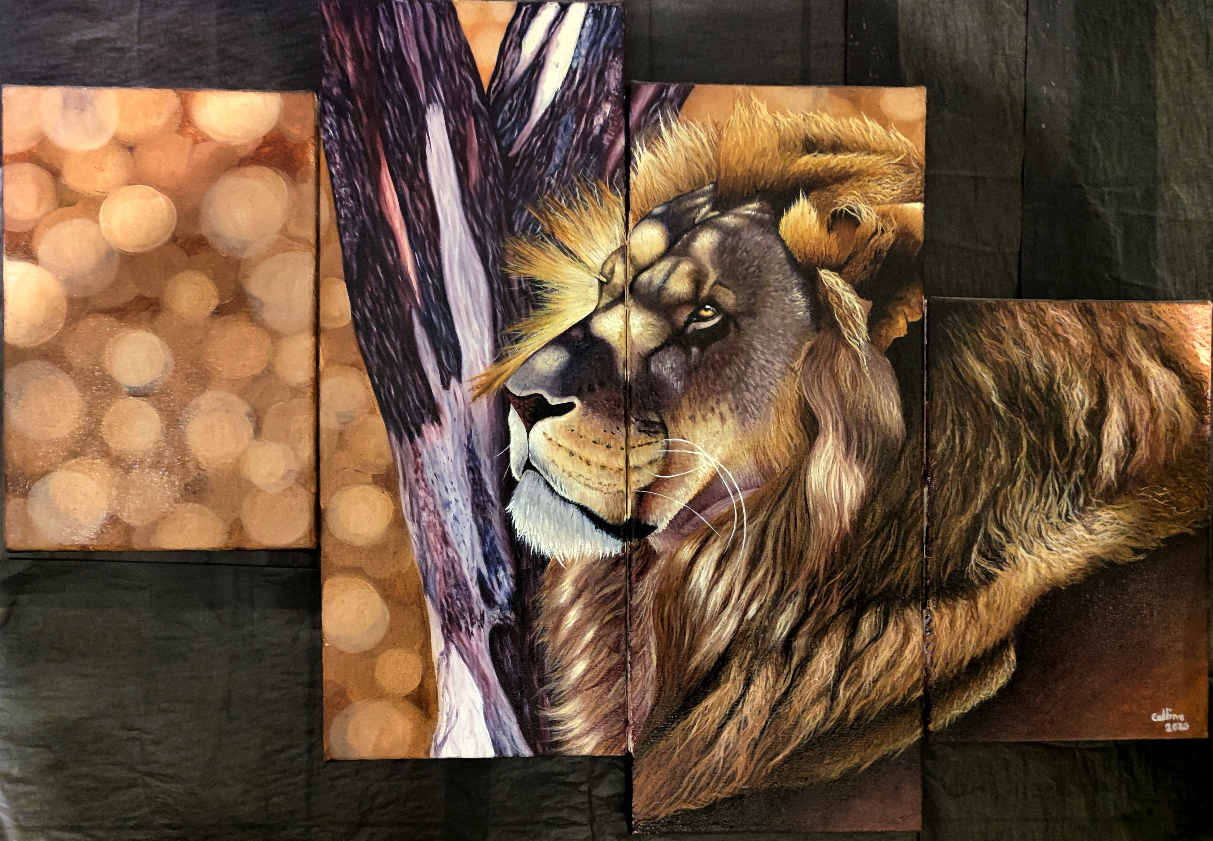 Lion II d'Afrique du Sud 80*55cm pièce unique