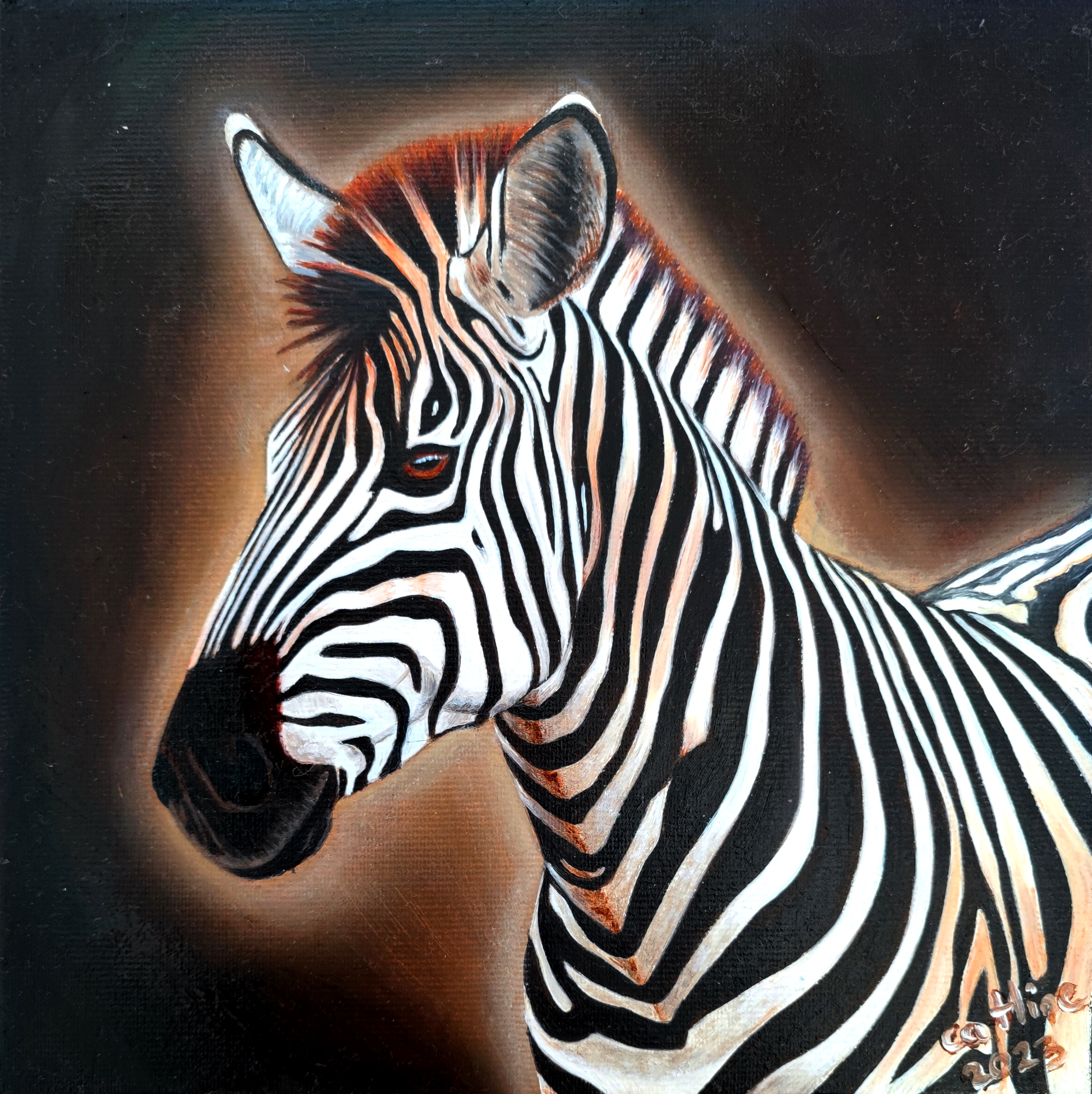 Zebre d'Afrique du Sud 20X20cm