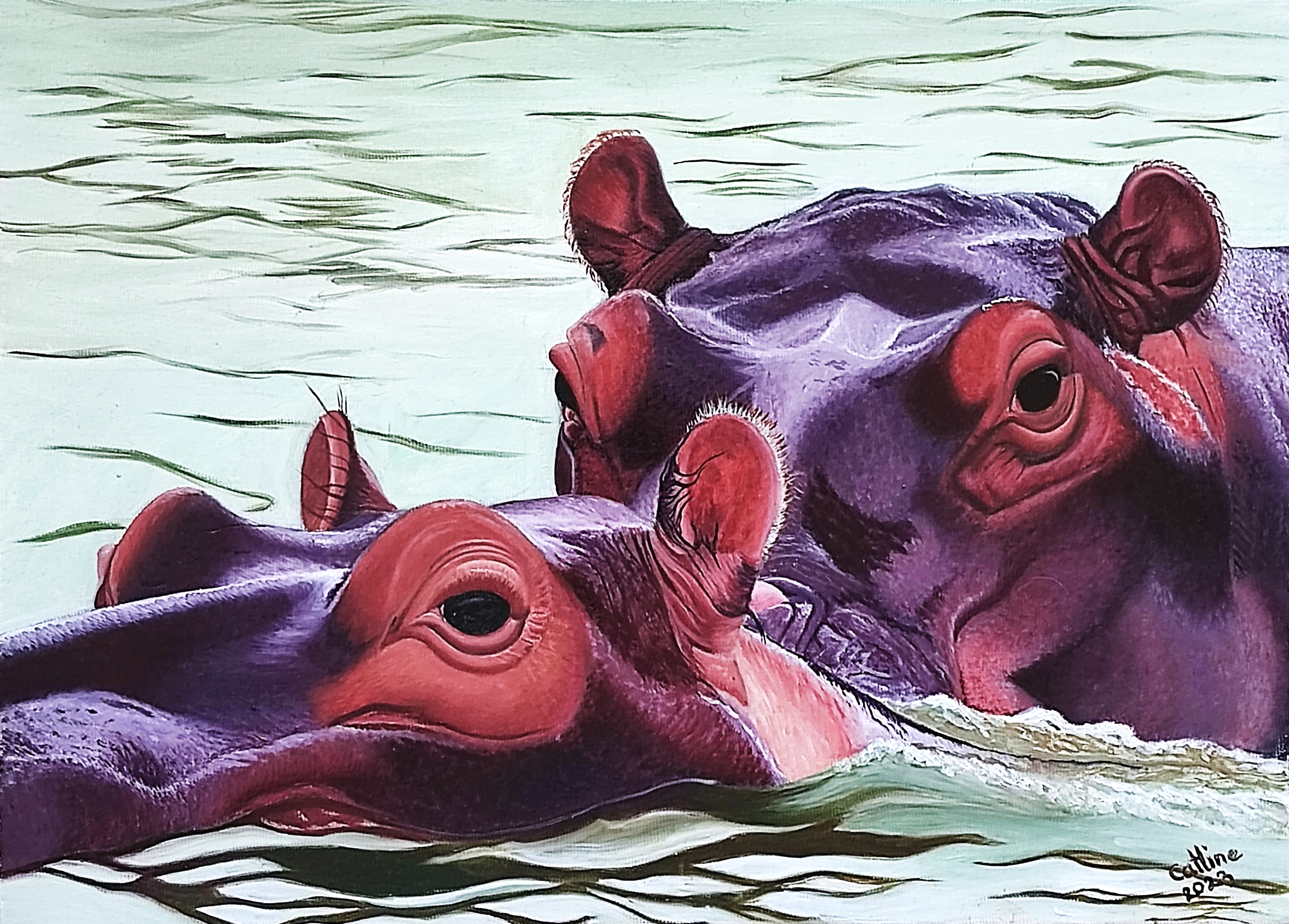  reproduction Hippopotames de ste Lucia II 46x33CM