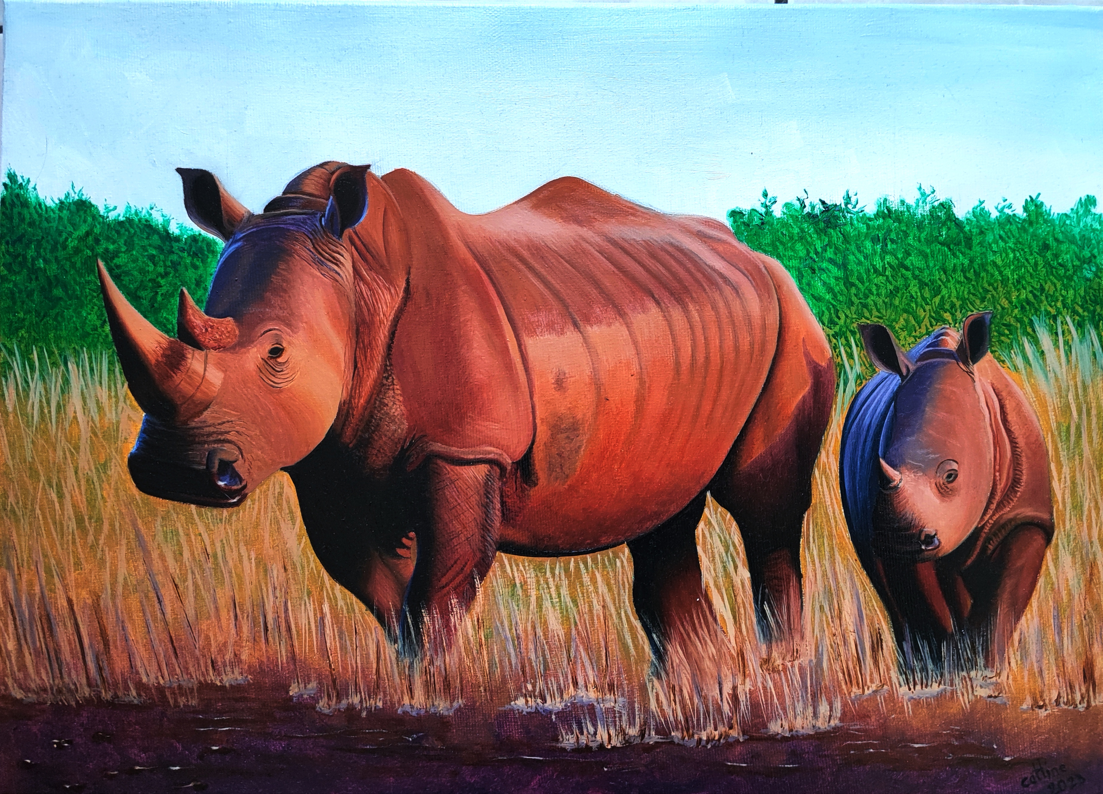 Reproduction Rhinocéros d'Afrique du Sud 46x33 cm