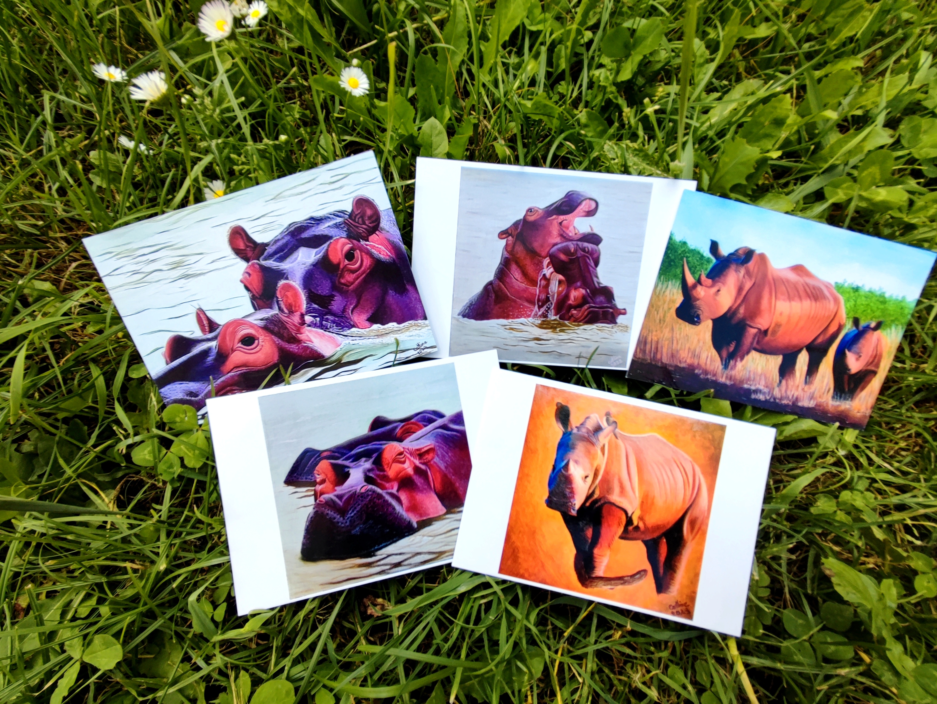 lot de 5 cartes postales des oeuvres originales Hippos /Rhinos
