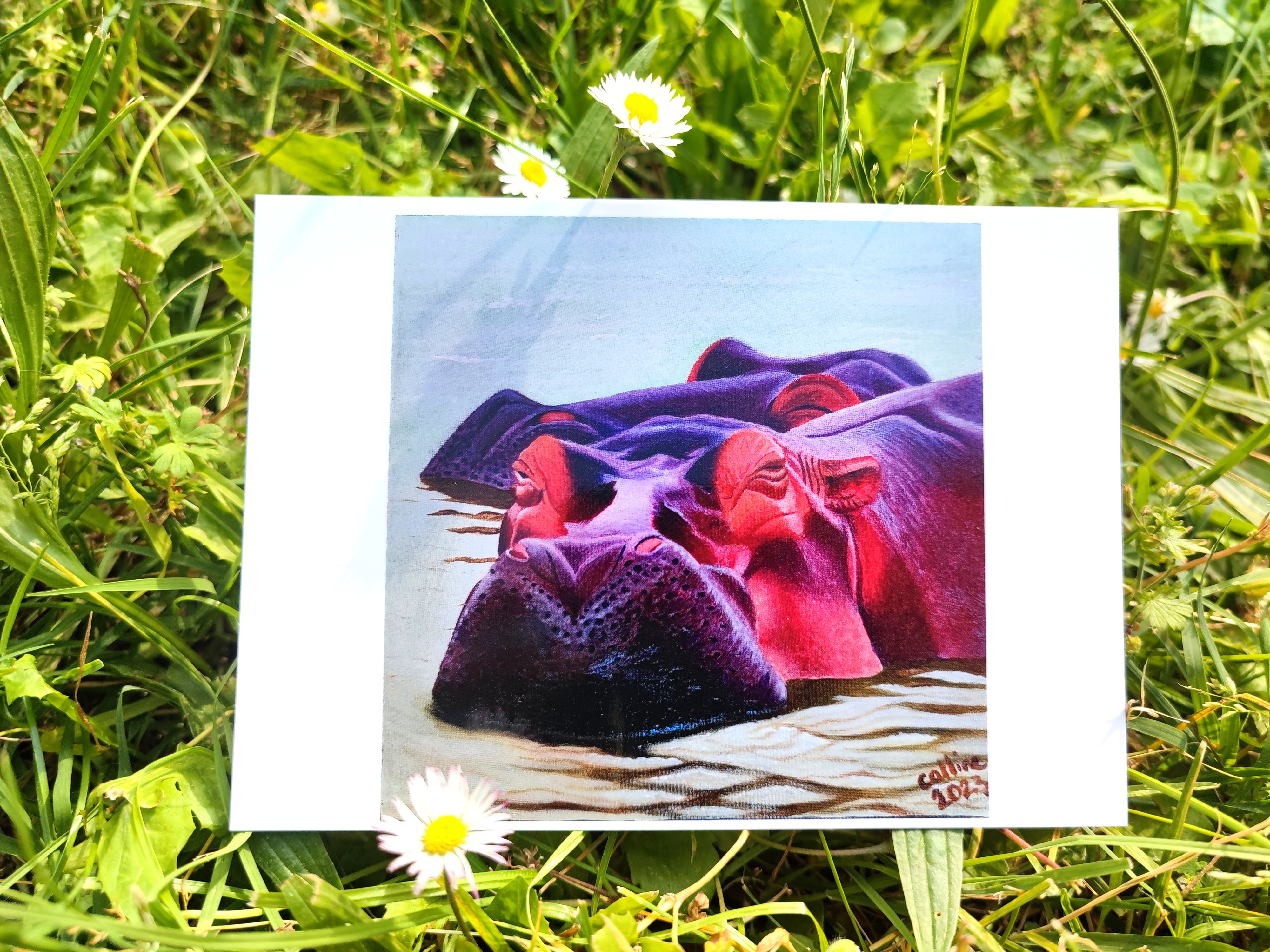 lot de 5 cartes postales des oeuvres originales  Hippos /Rhinos