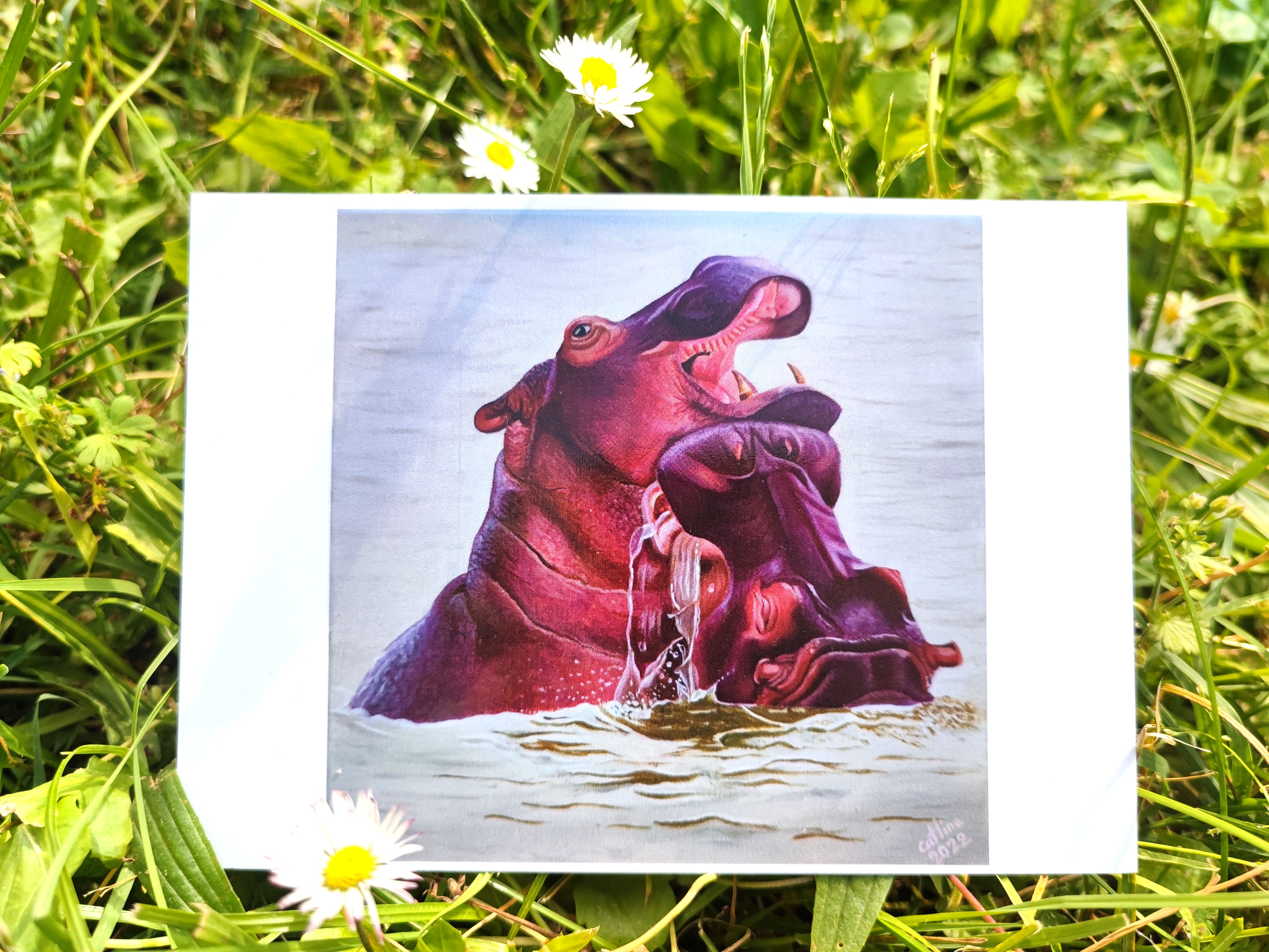 lot de 5 cartes postales des oeuvres originales  Hippos /Rhinos