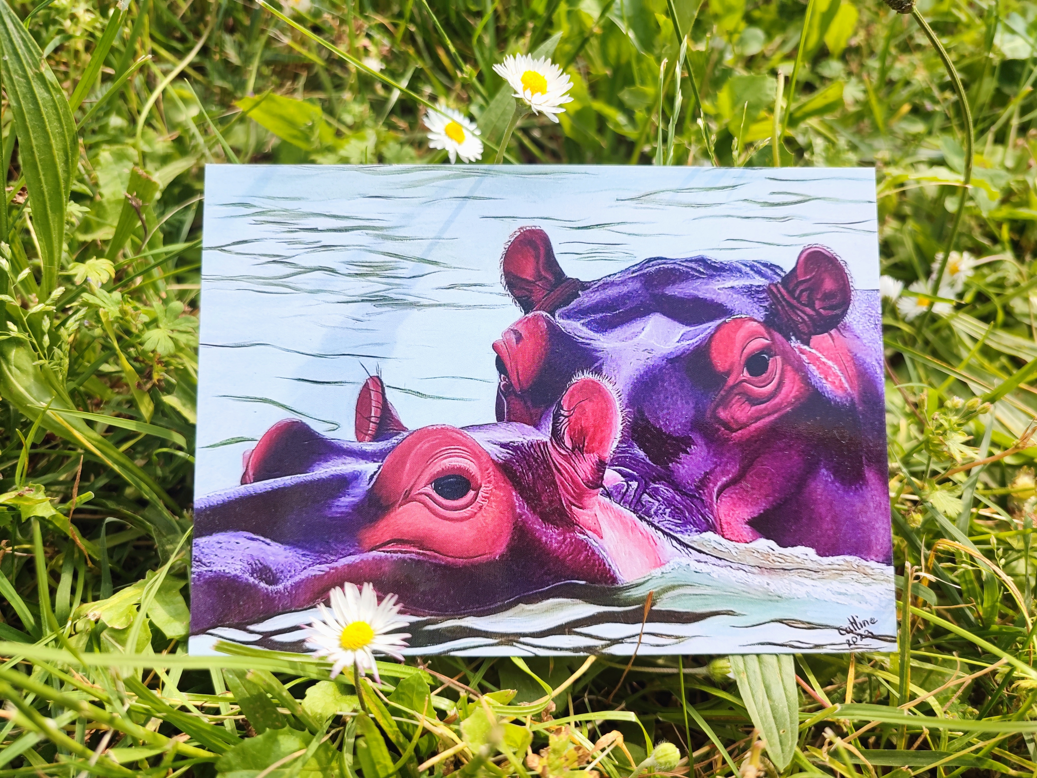 lot de 5 cartes postales des oeuvres originales  Hippos /Rhinos