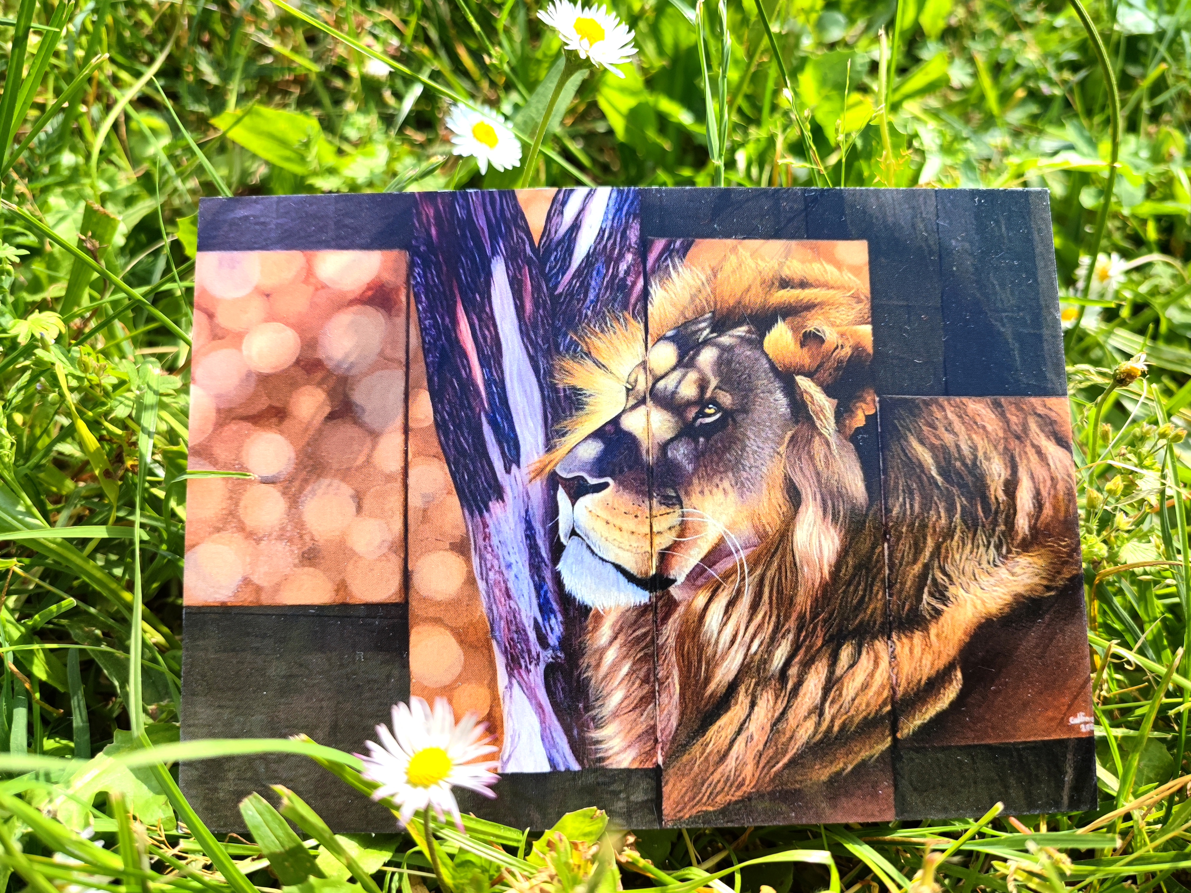 lot de 5 cartes postales d'après mes œuvres originales Félins
