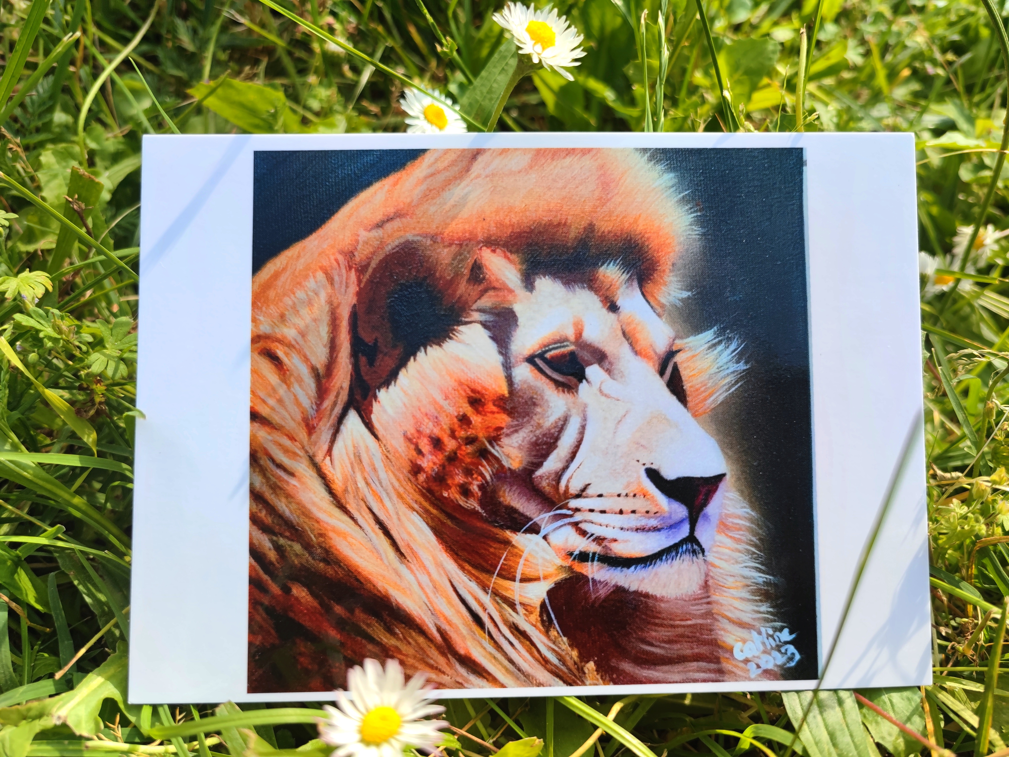 lot de 5 cartes postales d'après mes œuvres originales Félins