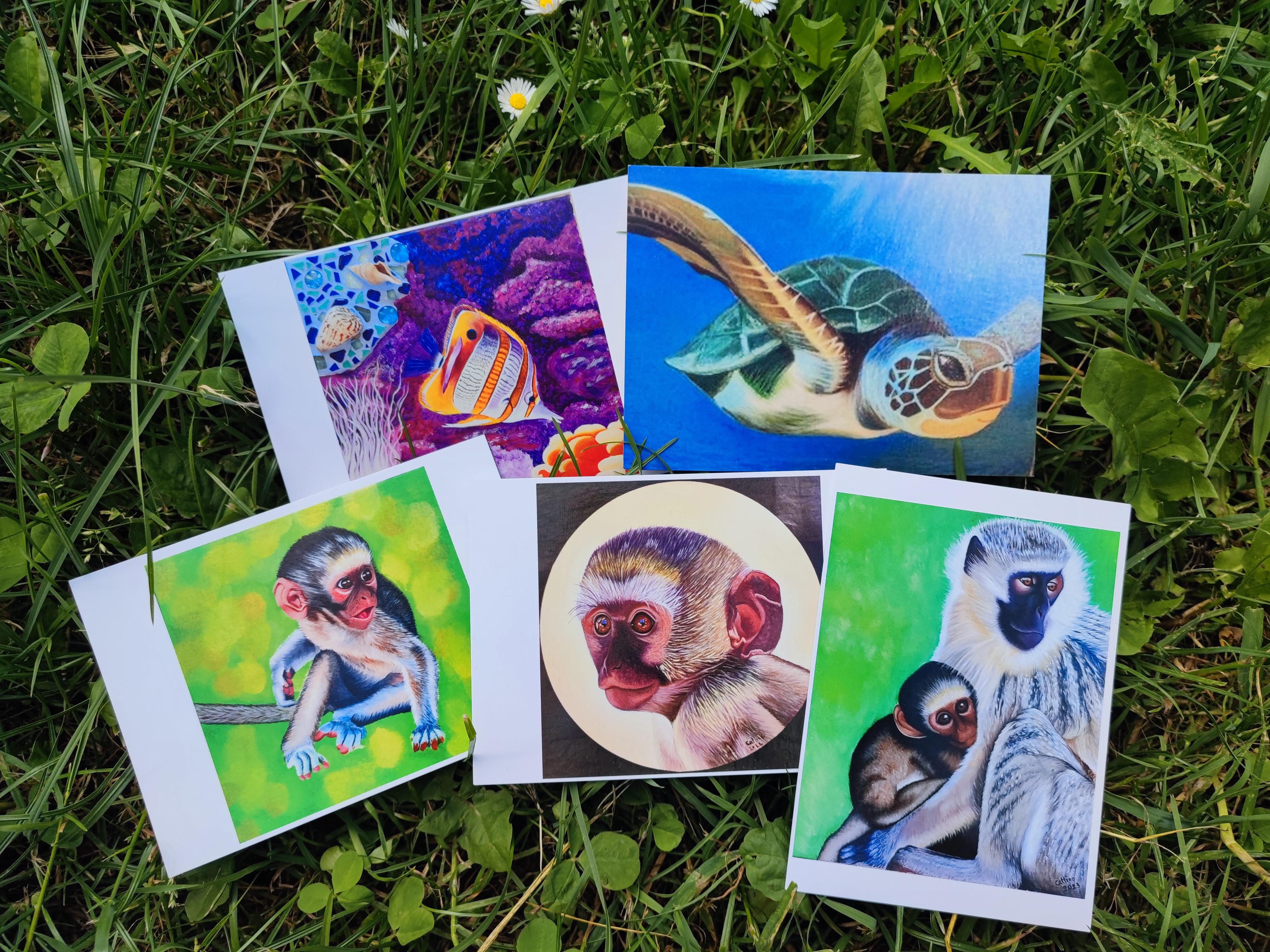 lot de 5 cartes postales d'après mes œuvres originales Singes /Marins