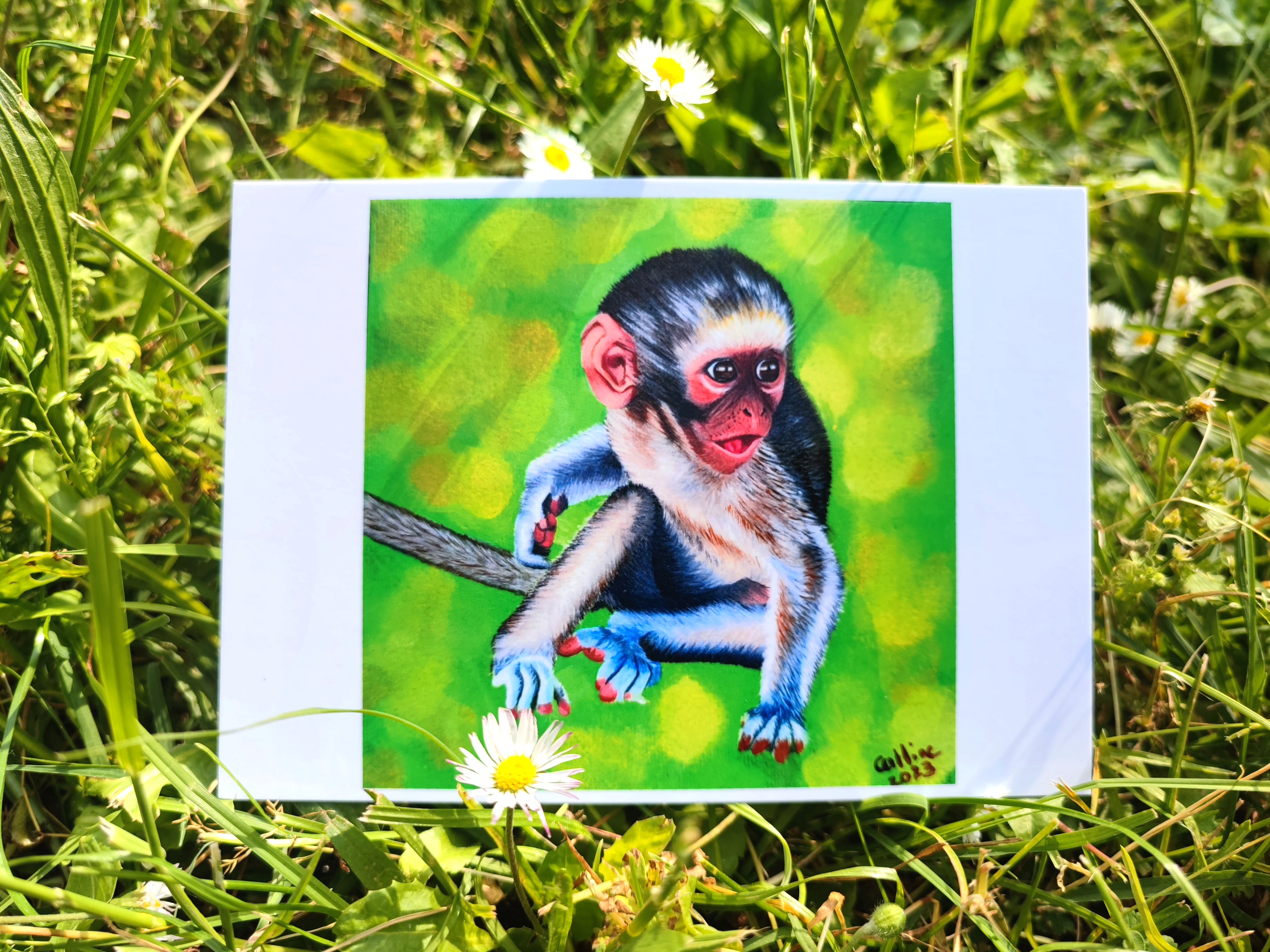 lot de 5 cartes postales d'après mes œuvres originales Singes /Marins