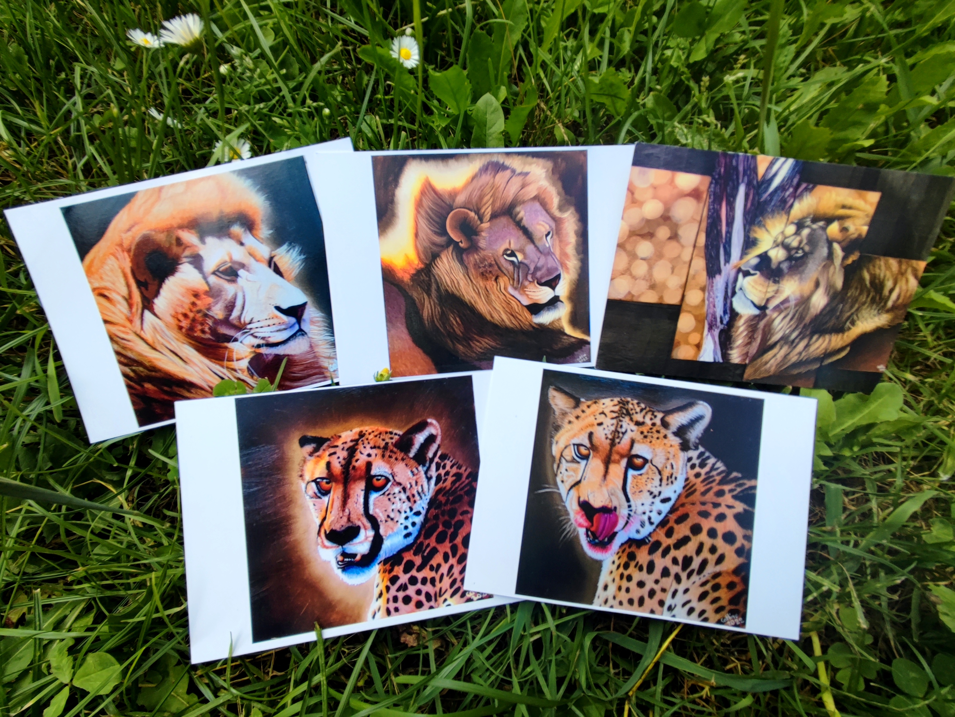 lot de 5 cartes postales d'après mes œuvres originales Félins