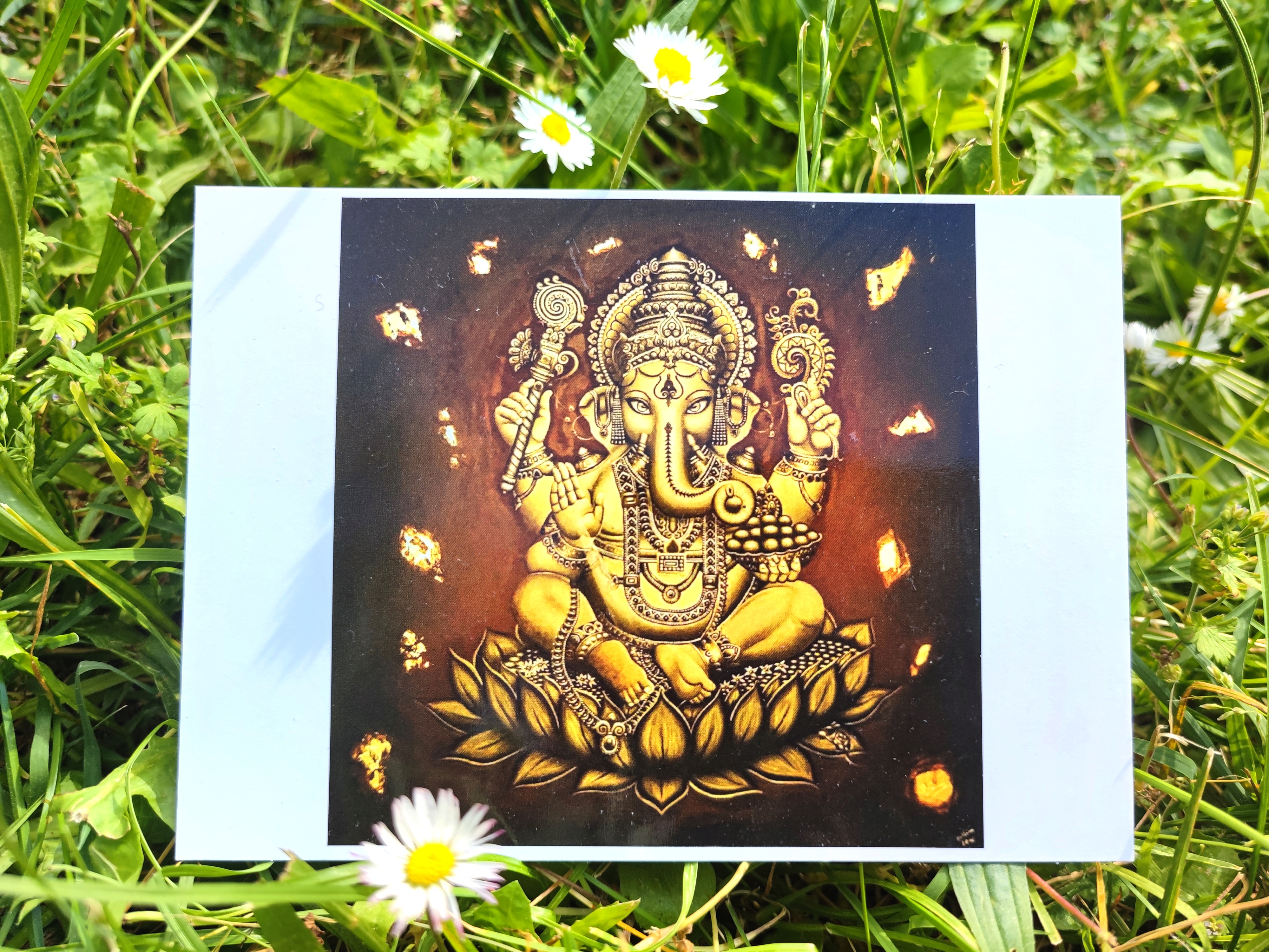 lot de 5 cartes postales d'après mes œuvres originales Equidés / Spiritualité