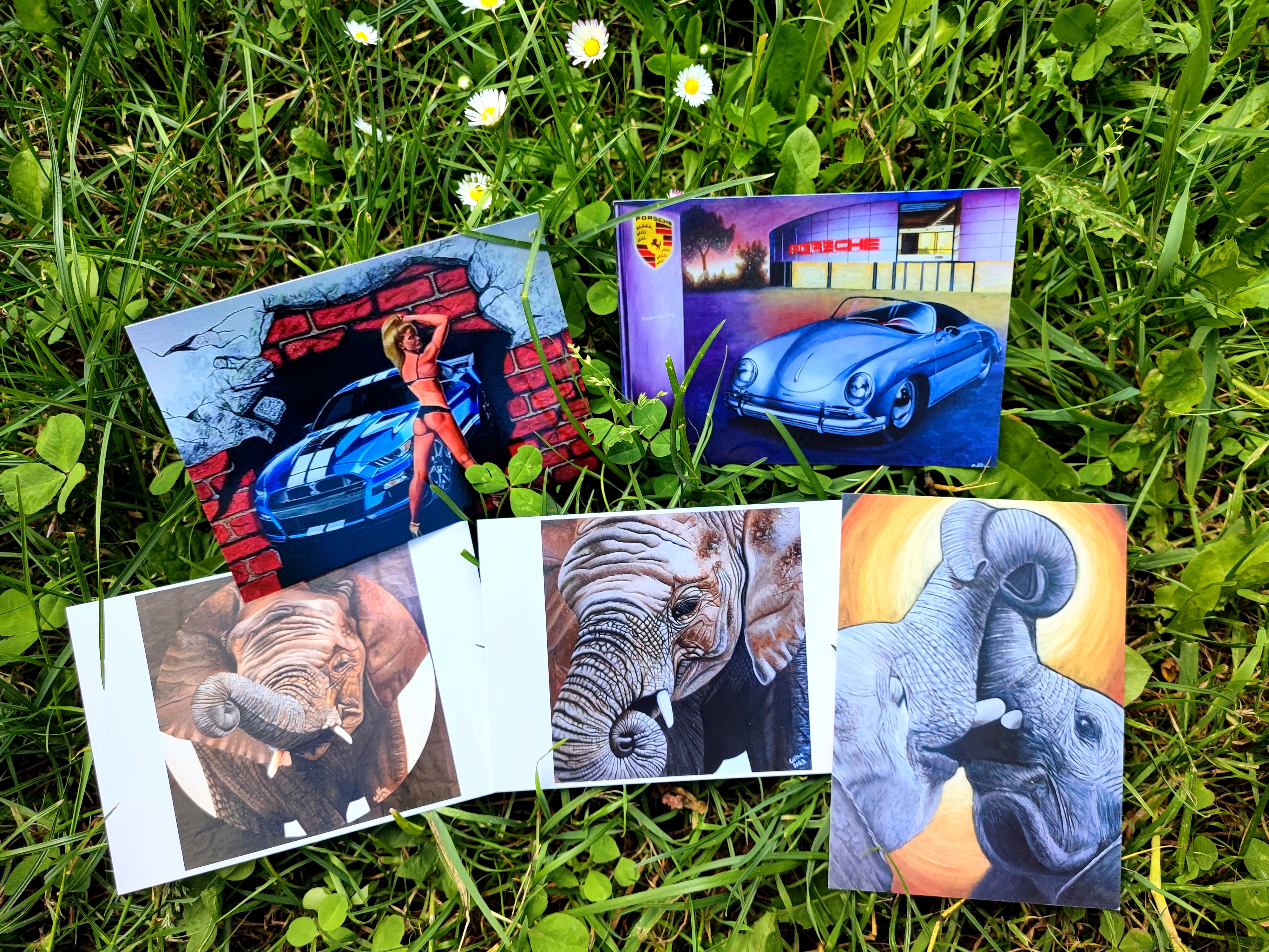 lot de 5 cartes postales d'après mes oeuvres originales Voitures /Elephant 