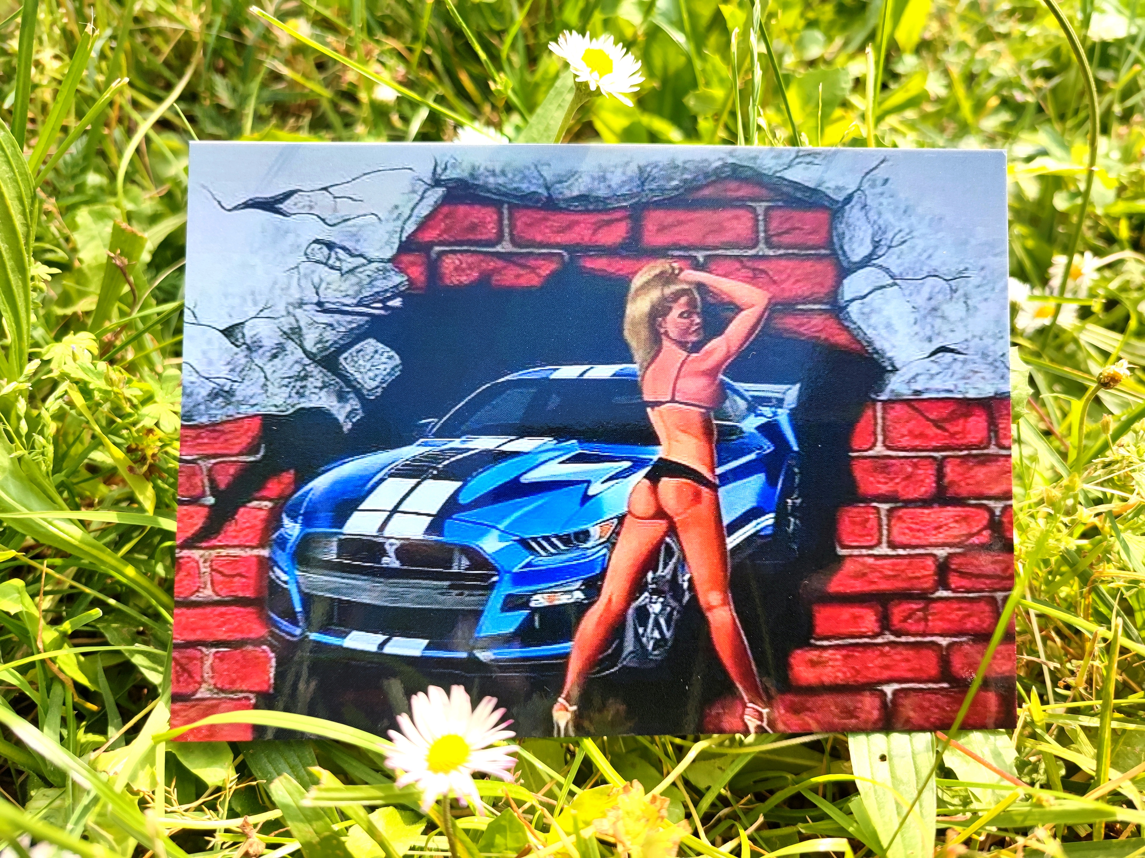 lot de 5 cartes postales d'après mes oeuvres originales Voitures /Elephant 