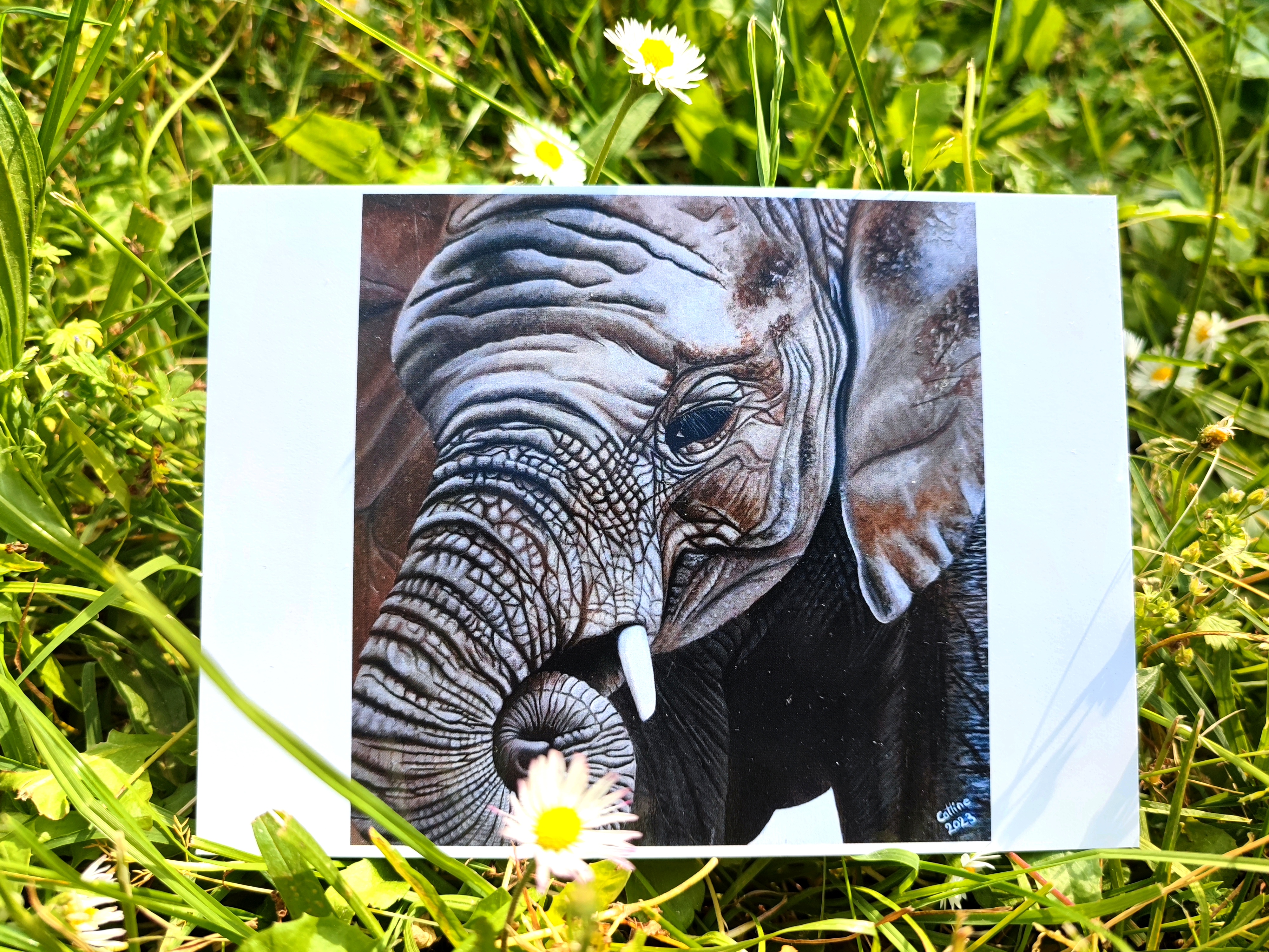 lot de 5 cartes postales d'après mes oeuvres originales Voitures /Elephant 