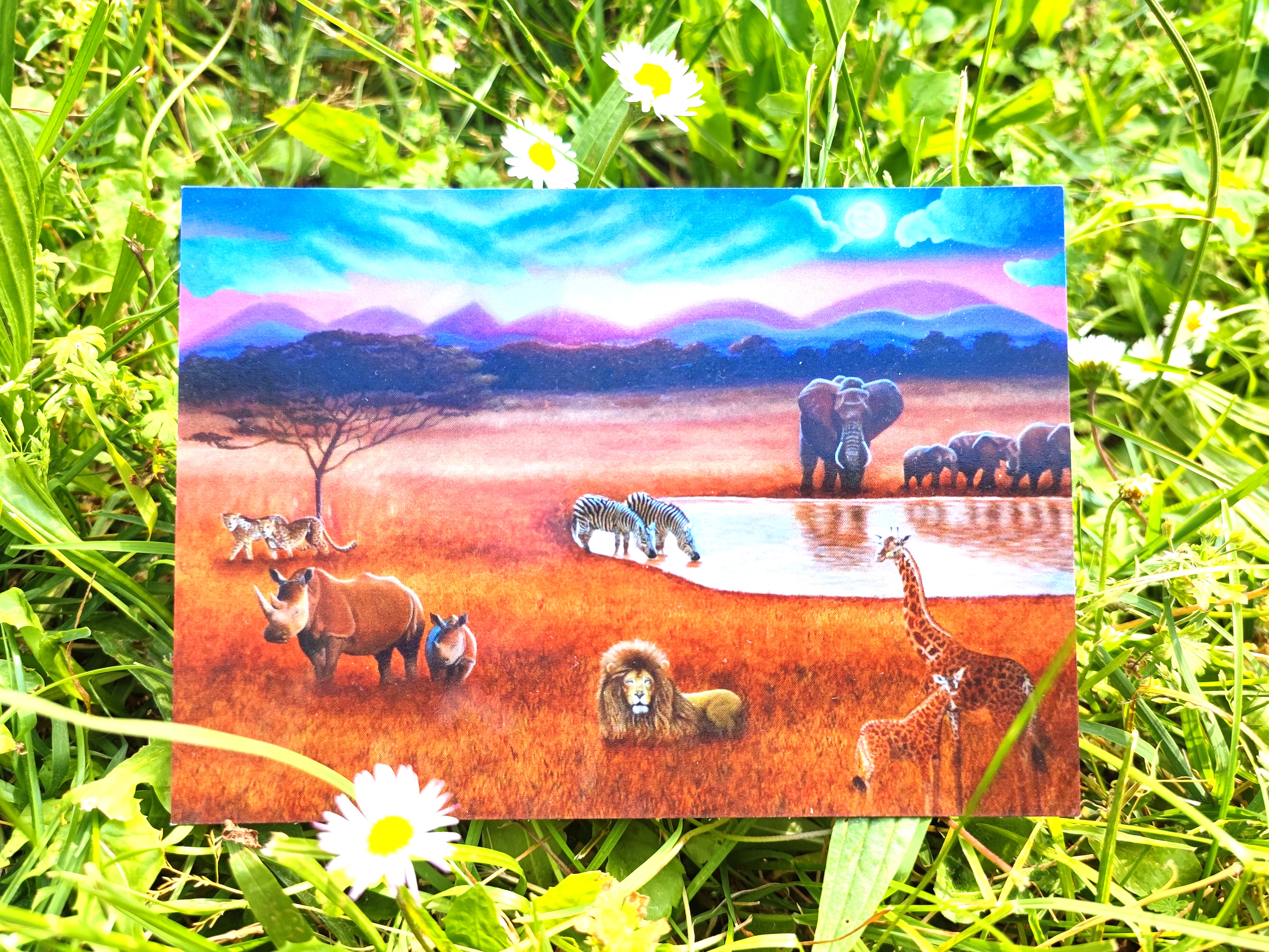 lot de 5 cartes d'après mes oeuvres originales Voyage/Afrique