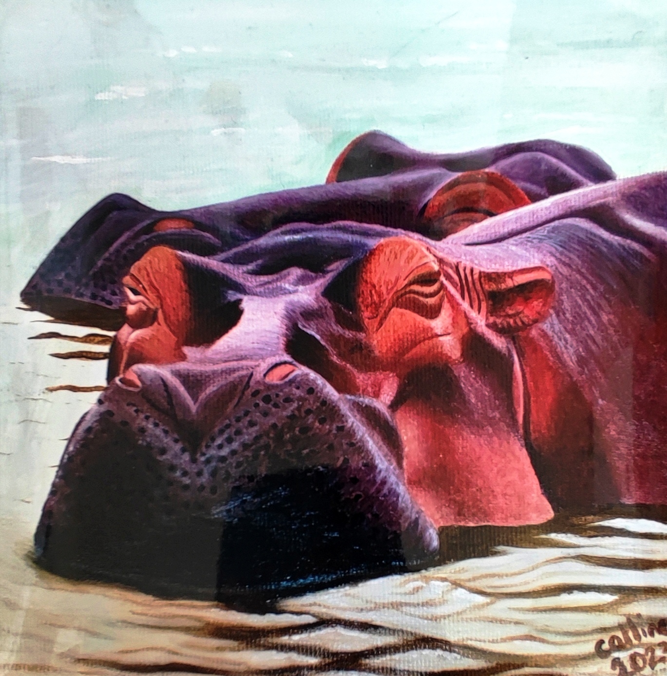 reproduction de l'oeuvre originale Hippopotame d'Afrique du sud 30X30cm