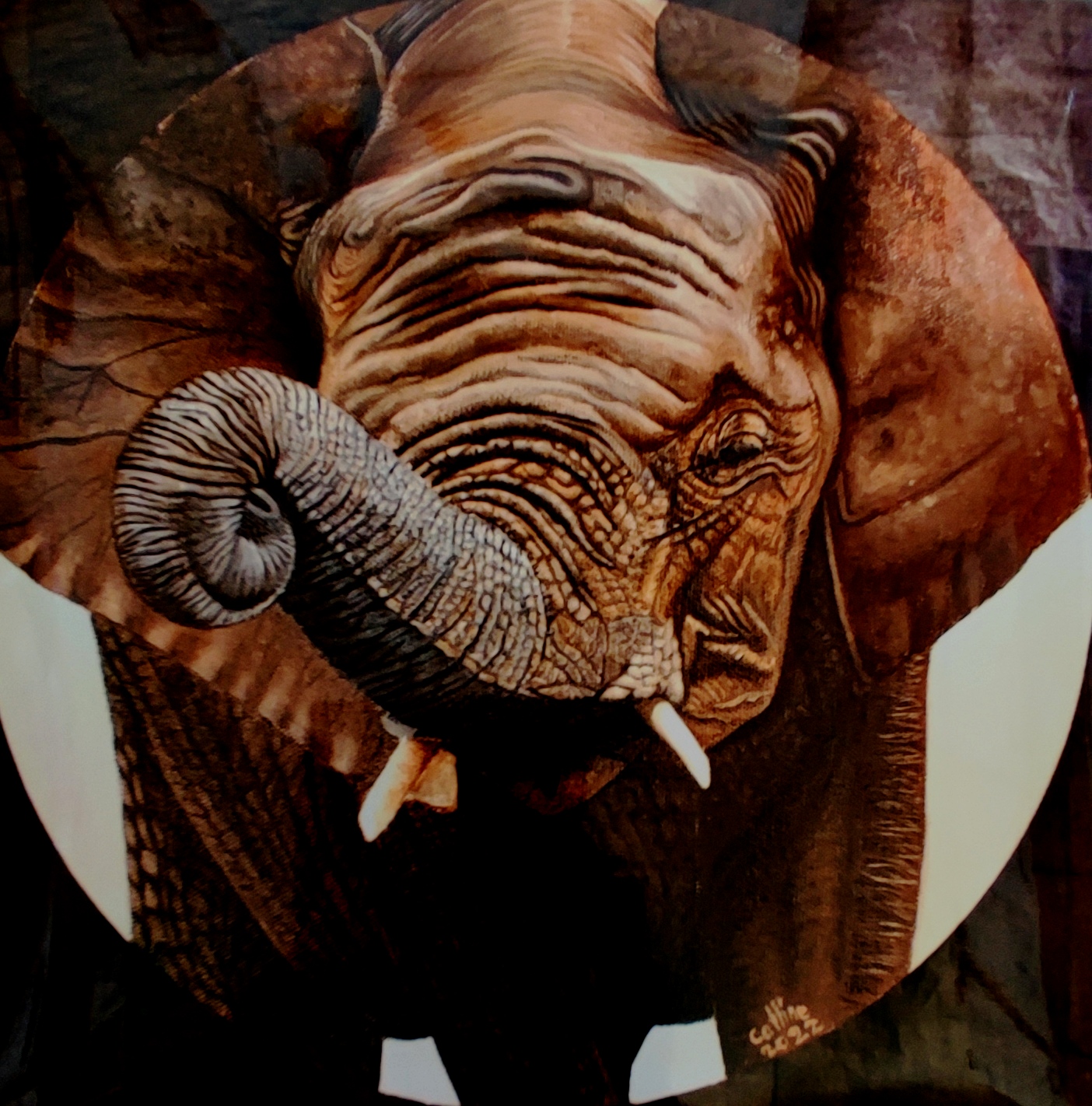 reproduction de l'œuvre originale Eléphant d'Afrique du Sud 30X30cm