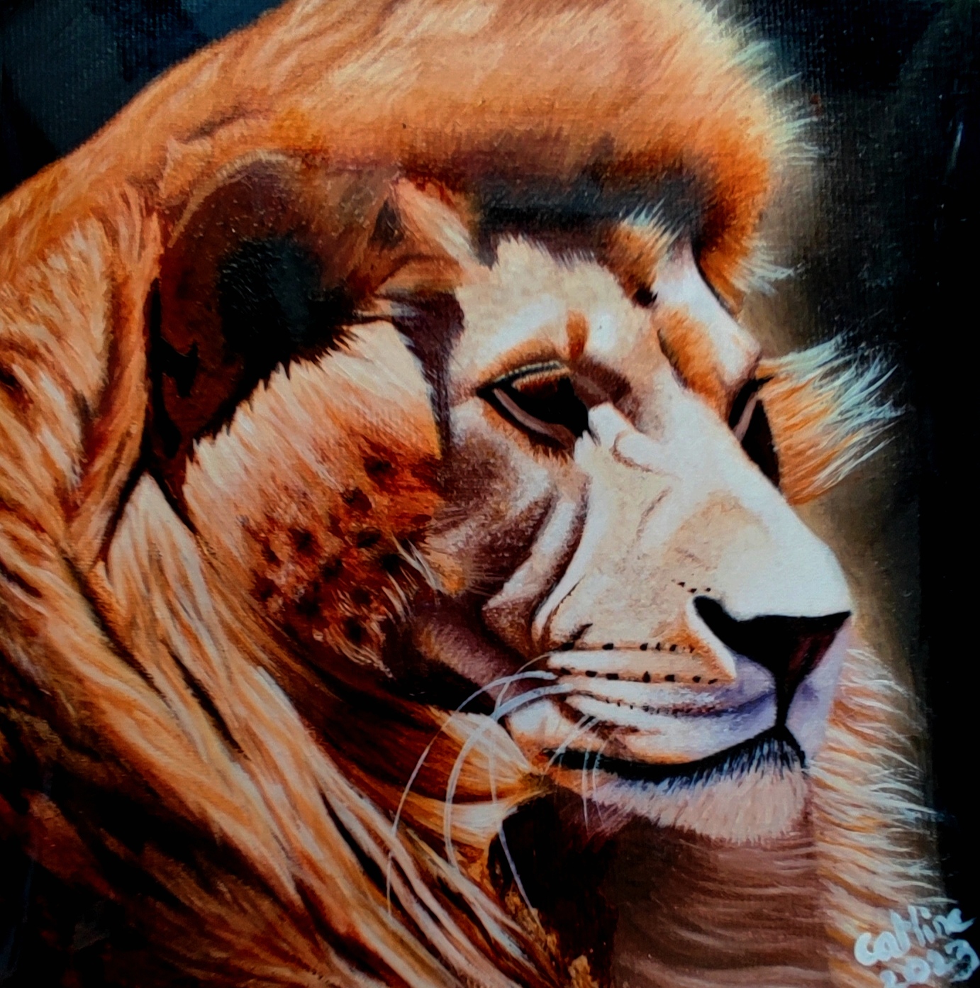 reproduction de l'œuvre originale Lion d'Afrique du Sud 30X30cm