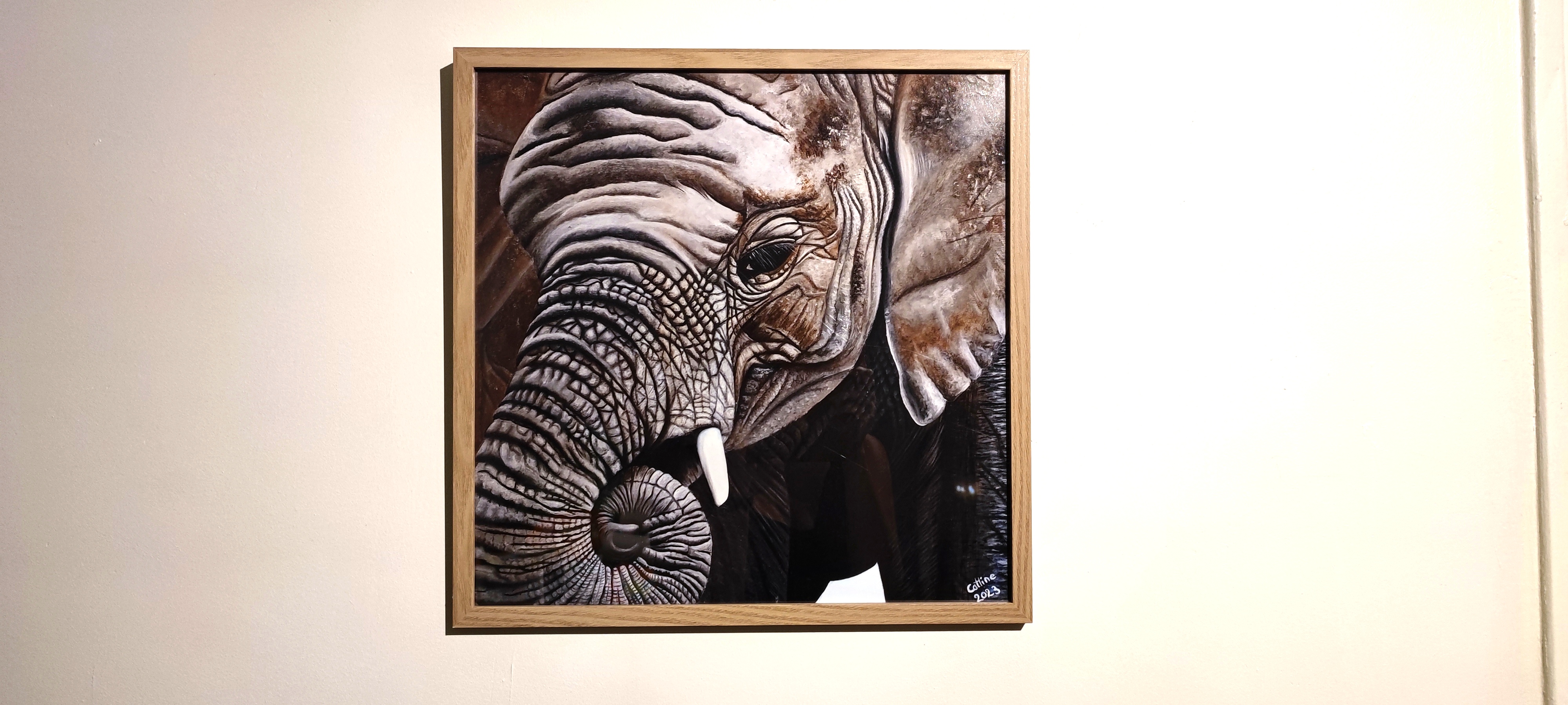 Reproduction encadrée Eléphant d'Afrique du Sud II 40x40 cm