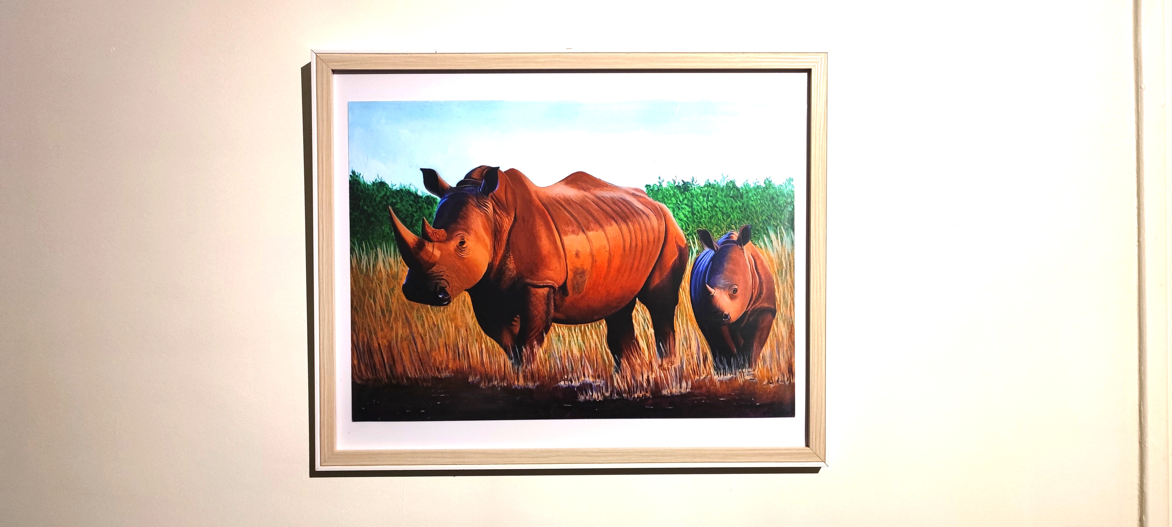 Reproduction encadrée Rhinocéros d'Afrique du Sud 53x43 cm