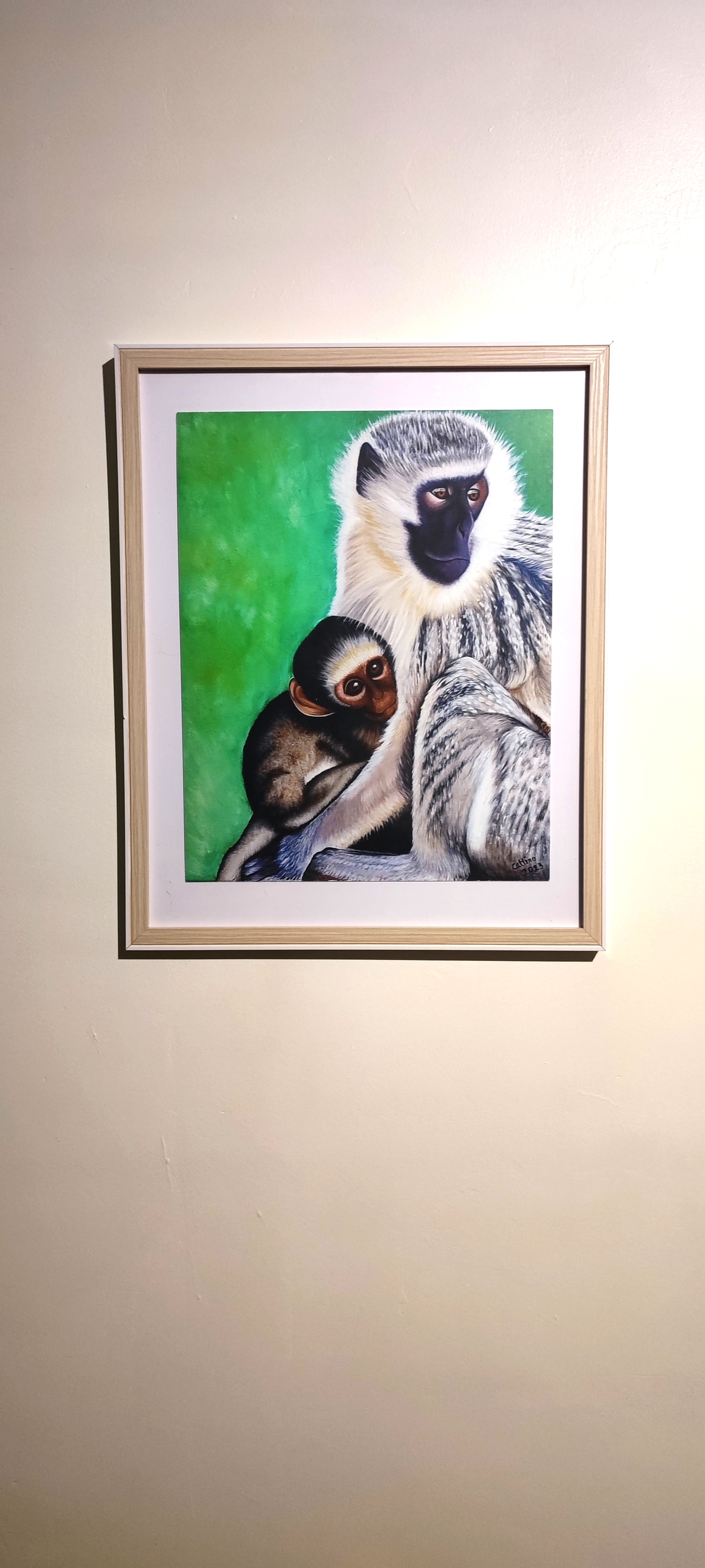 Reproduction encadrée Singe vervet bleu et son bébé 53X43cm