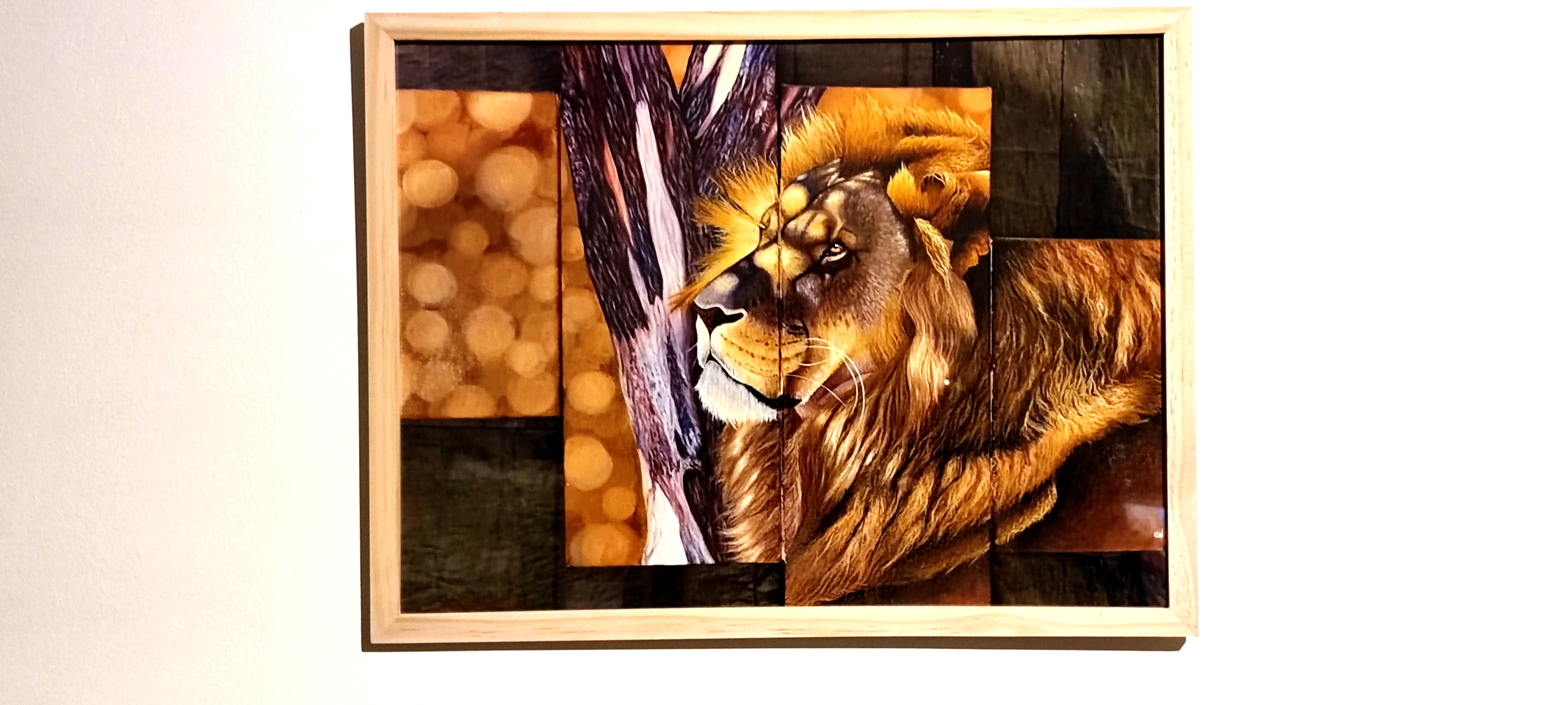 reproduction encadrée de l'œuvre originale Lion d'Afrique du Sud 40X30 cm