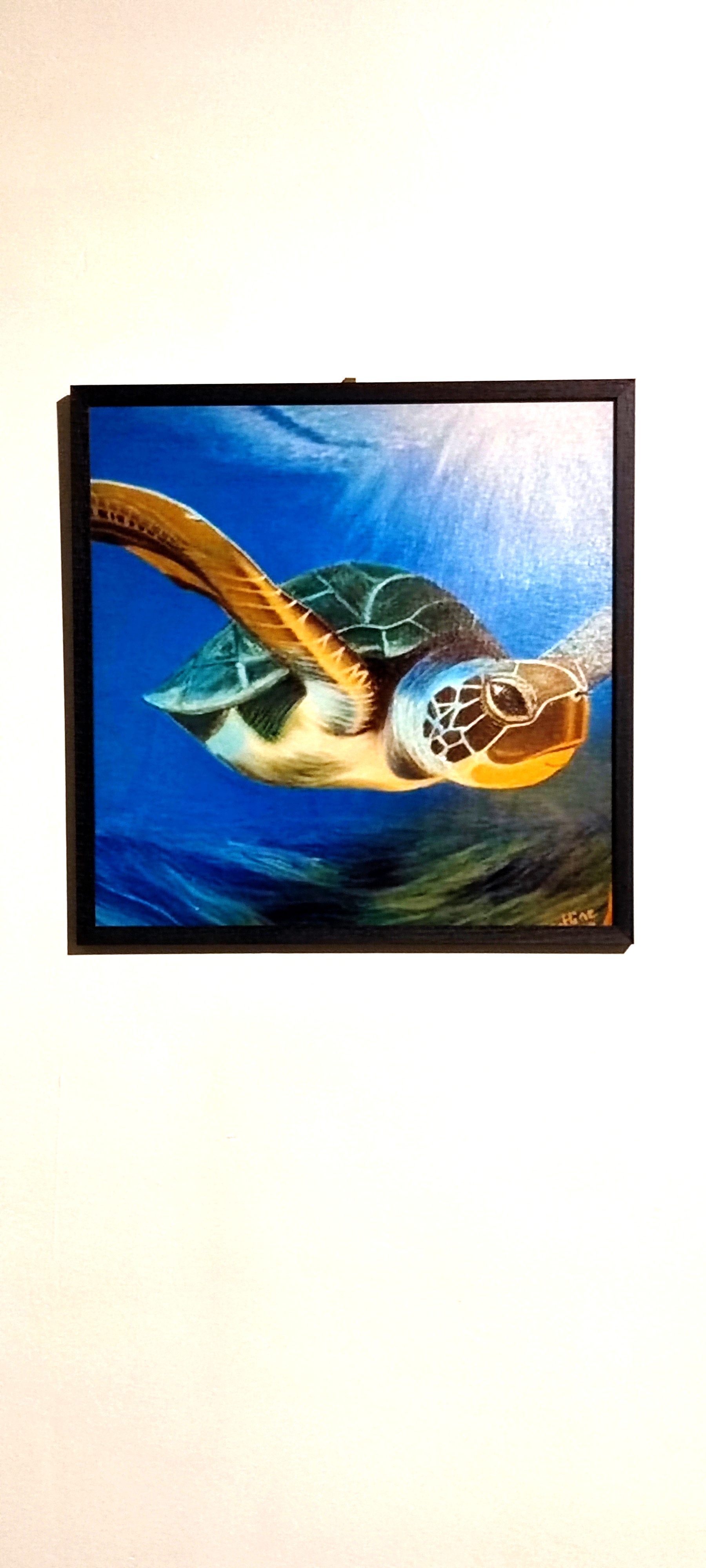 reproduction encadrée de l'œuvre originale Tortue 30X30cm