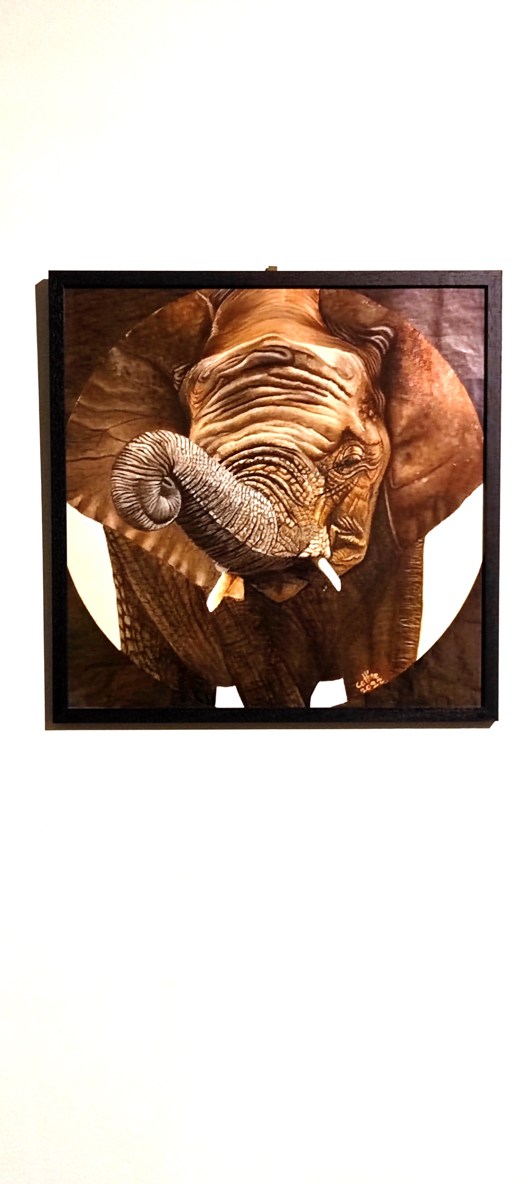 reproduction encadrée de l'œuvre originale Eléphant d'Afrique du Sud 30X30cm