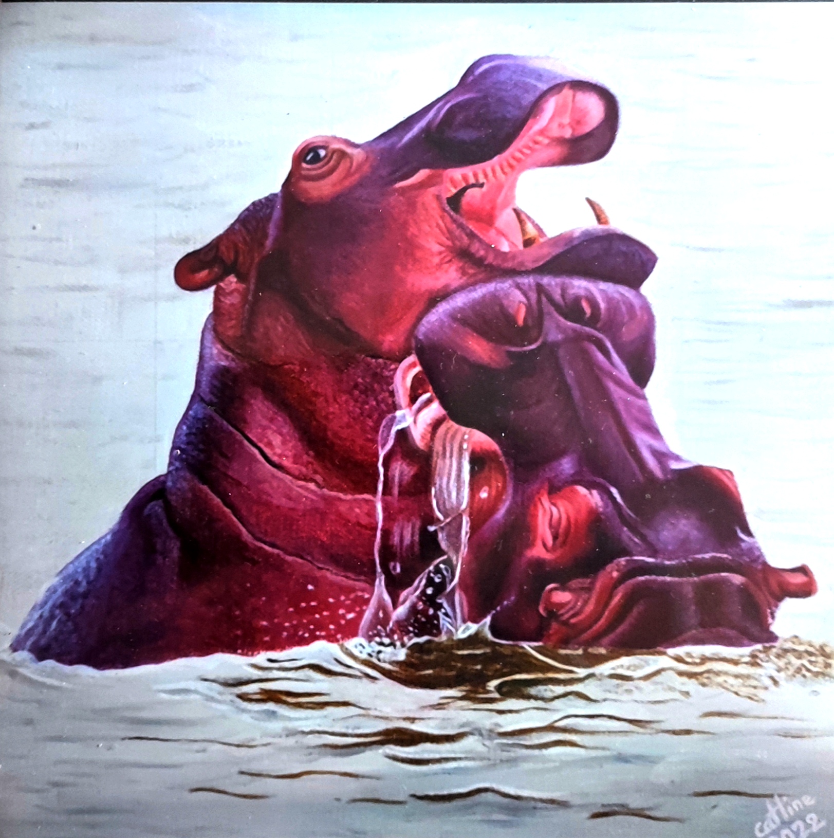 Reproduction de l'oeuvre originale "Hippopotames de Ste Lucia" 20X20cm