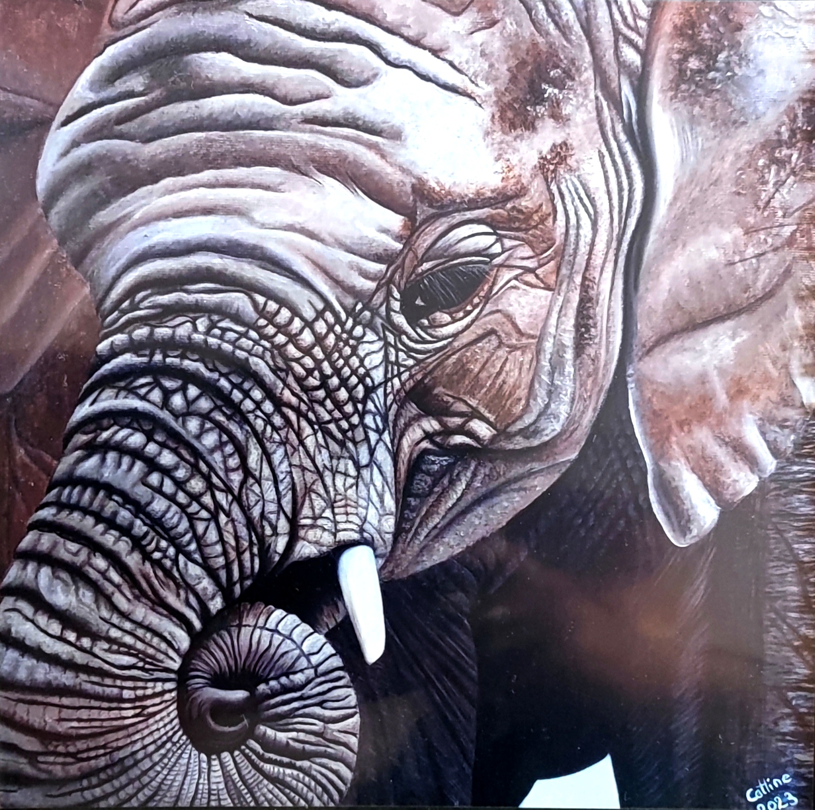 Reproduction de l'oeuvre originale "Eléphant d'Afrique du Sud II" 20x20cm