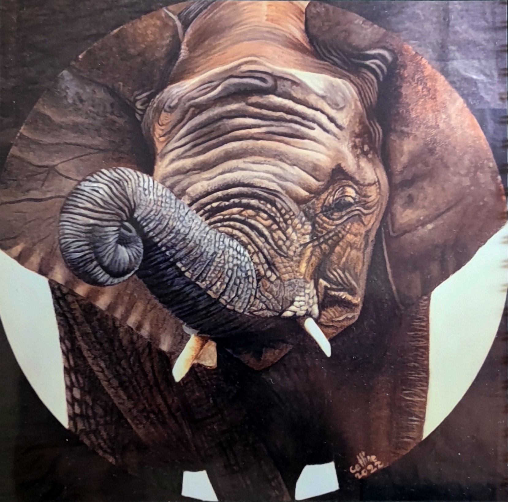 reproduction de l'œuvre originale "Eléphant d'Afrique du Sud" 20X20cm