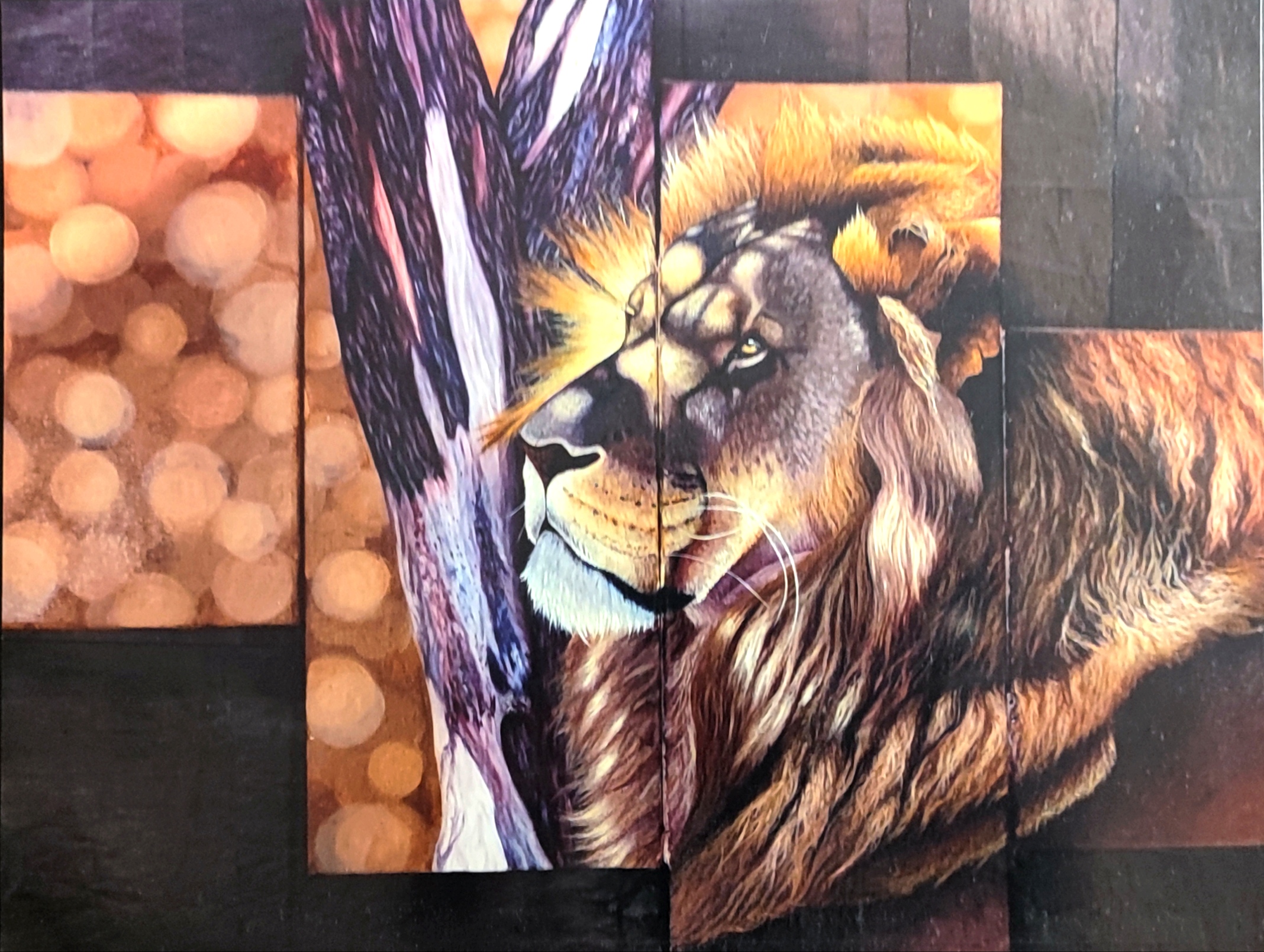reproduction de l'œuvre originale "Lion d'Afrique du Sud" 27X20cm