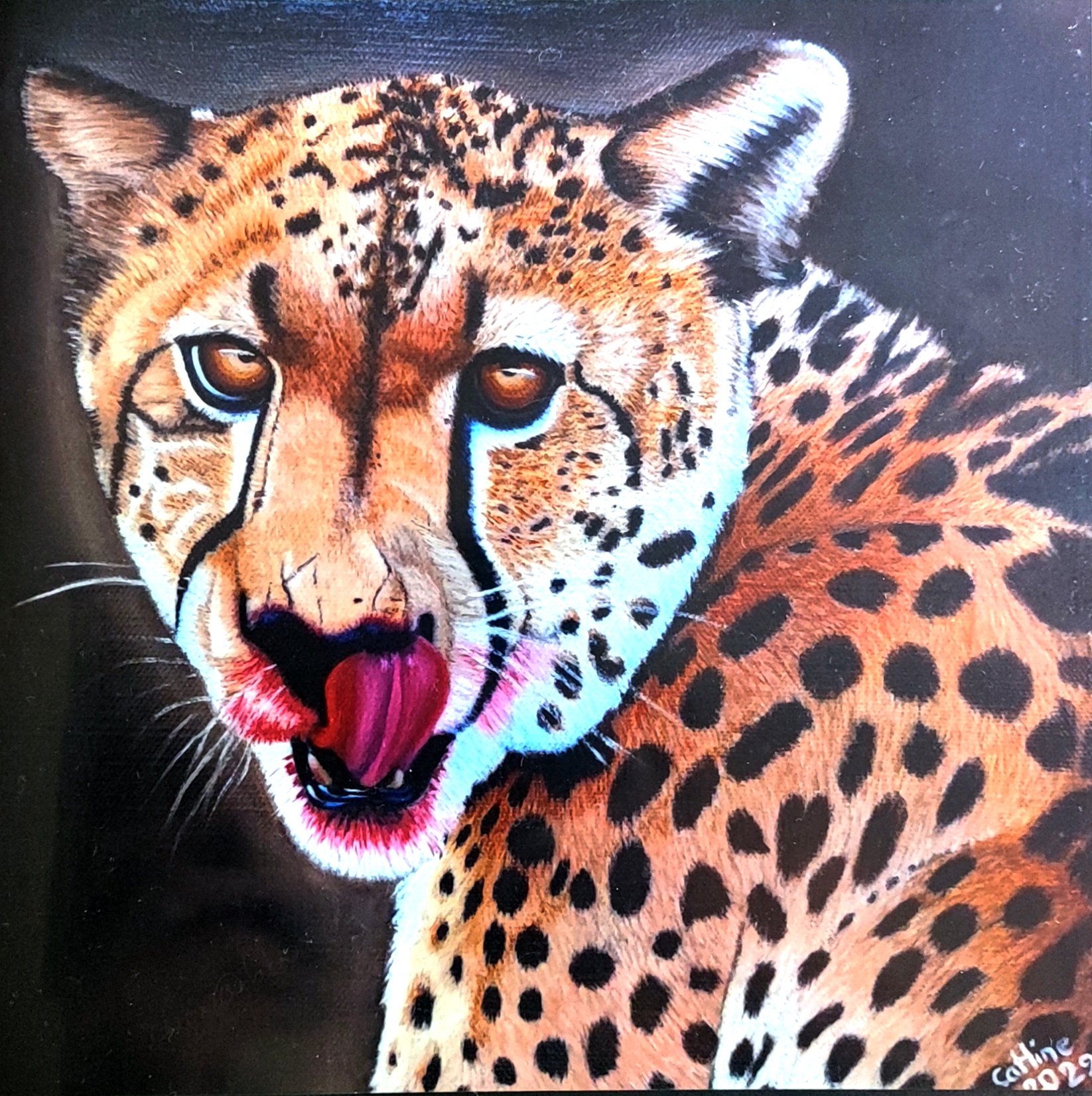Reproduction de l'oeuvre originale "Guépard d'Afrique du Sud" 20X20cm